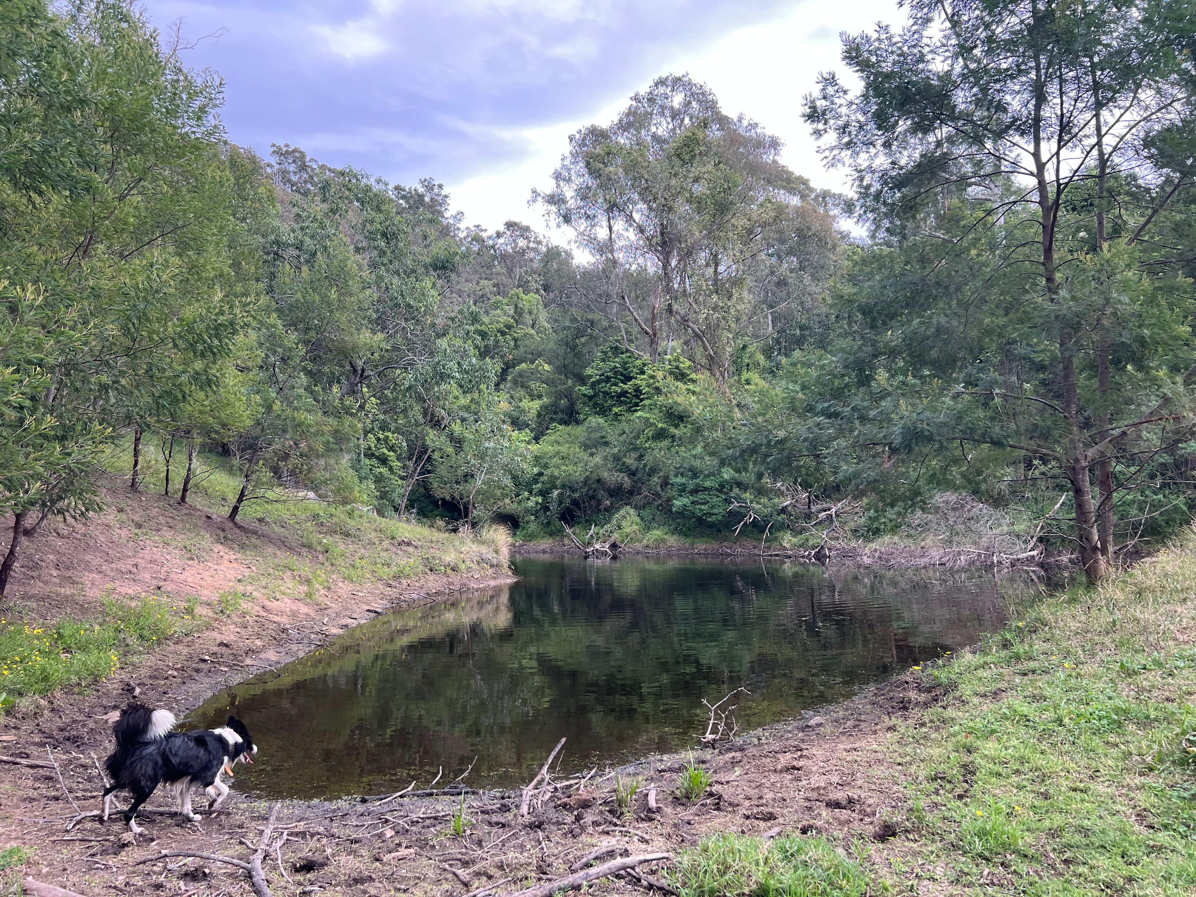 Bega Valley and Mountain Views
