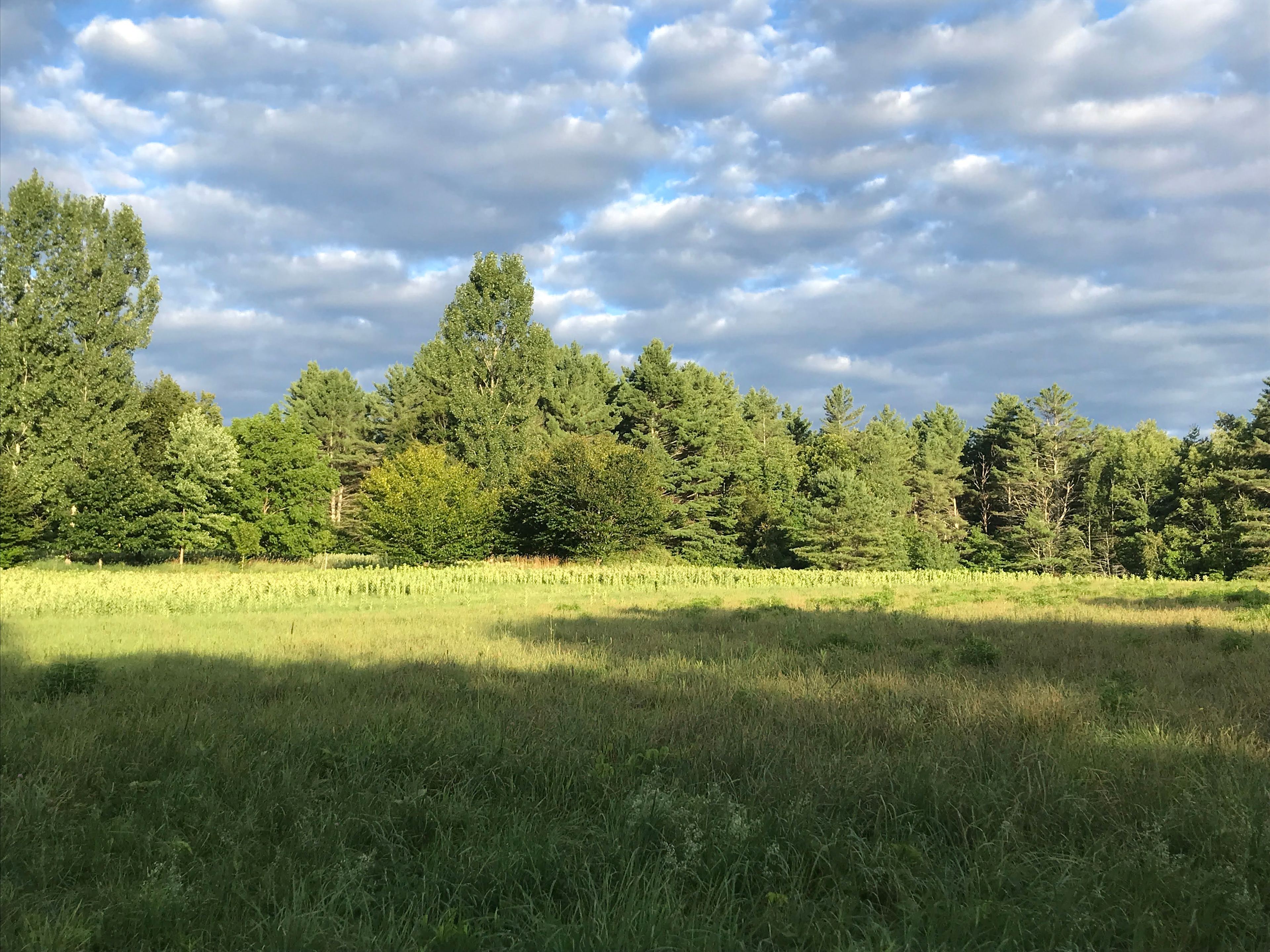 Meadow Camping On Windham Hill