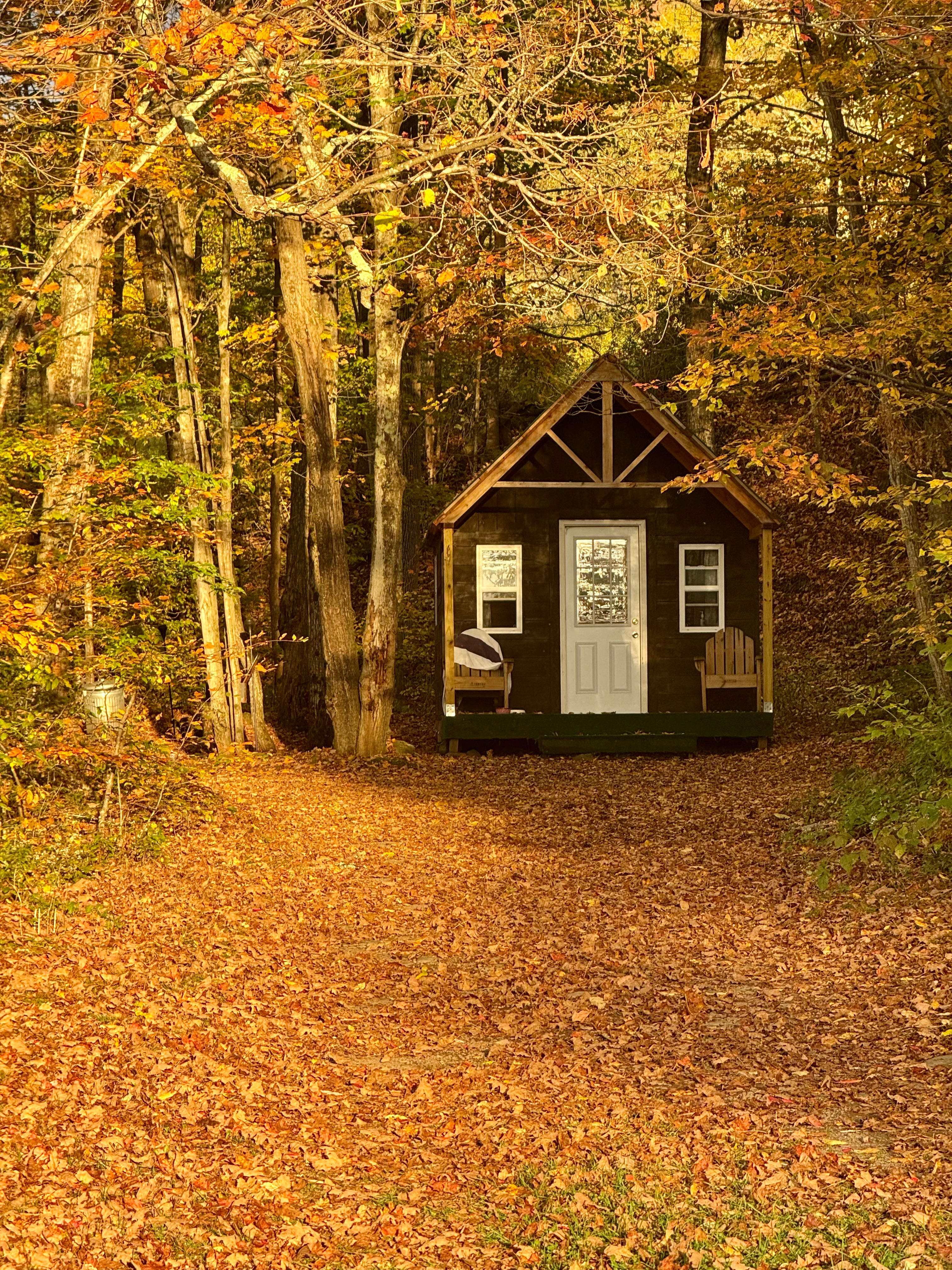 Bearkill Brook Campsite