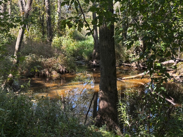 Wild Daisy Take Care Farm