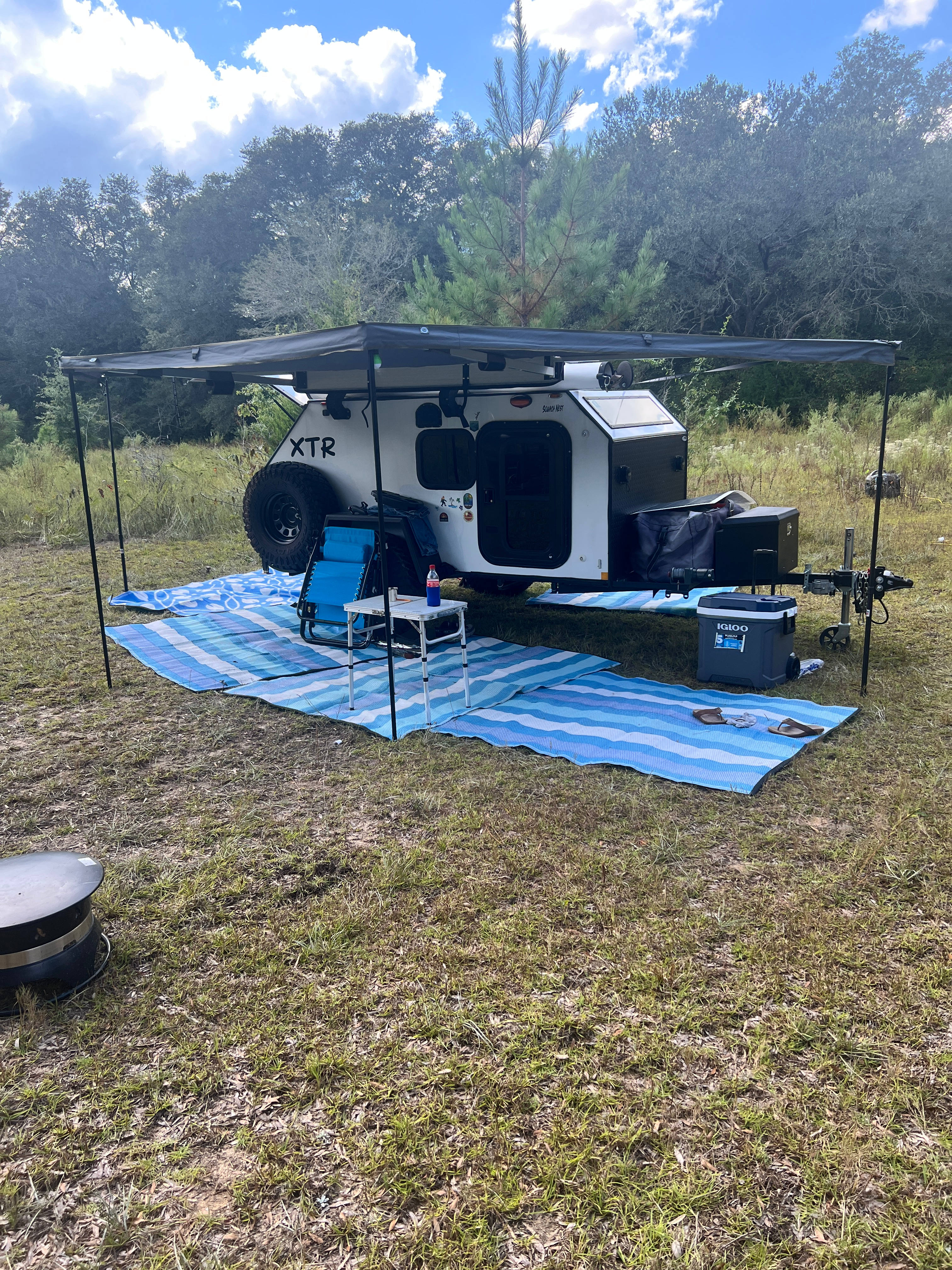 The Hammock Under the Oaks