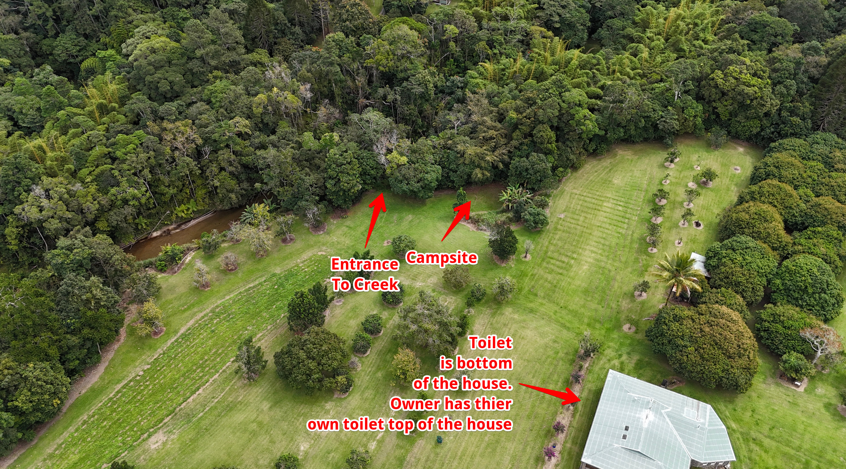 Mt Lewis Wilderness Camp