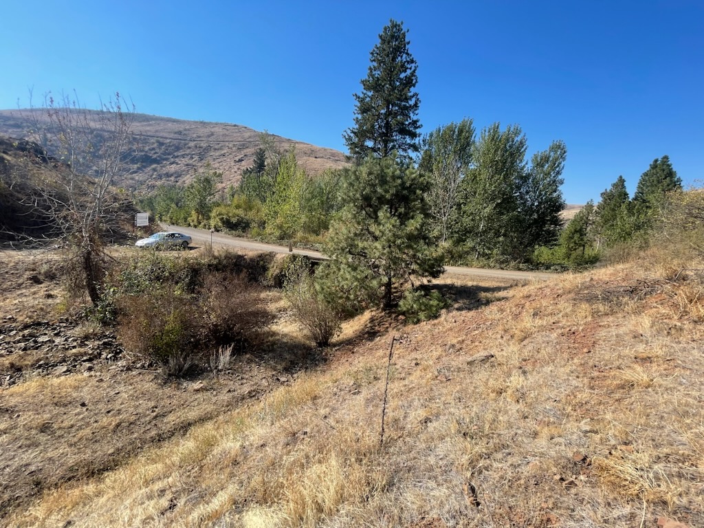 Mountaineer Frontier