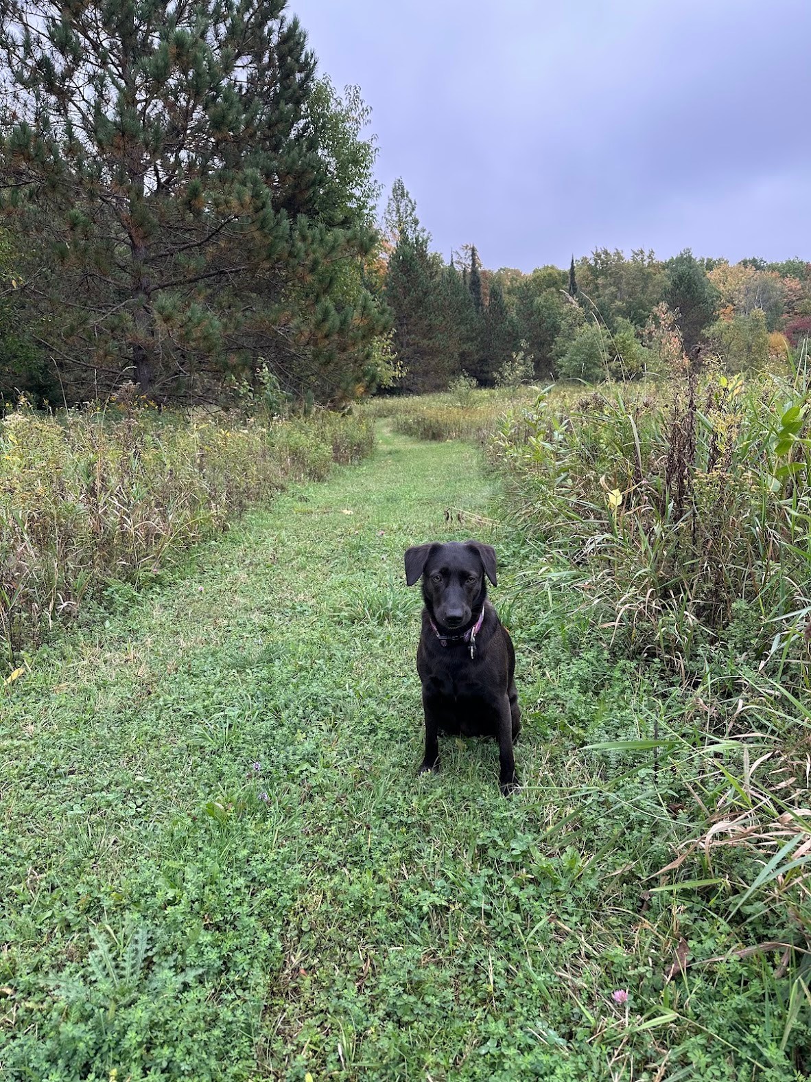 Hiking trail around the property