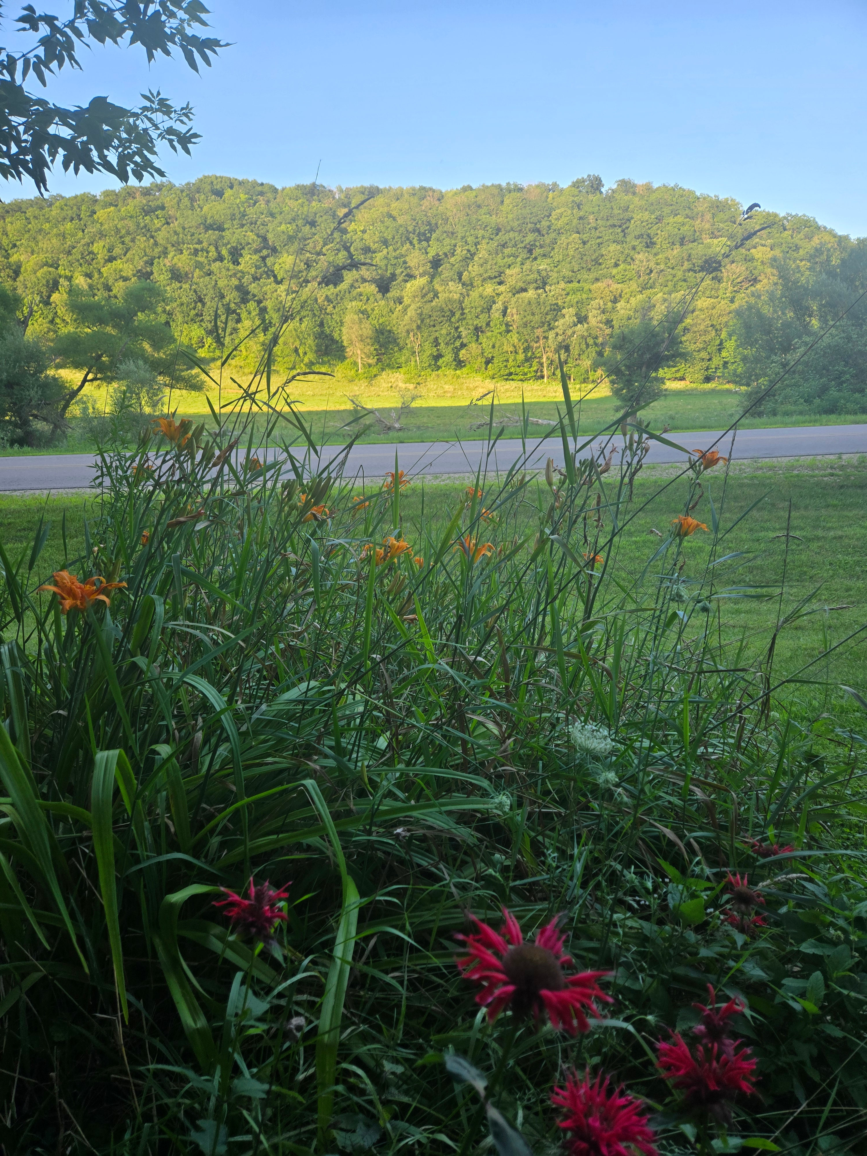 Driftless Tiny House Retreat