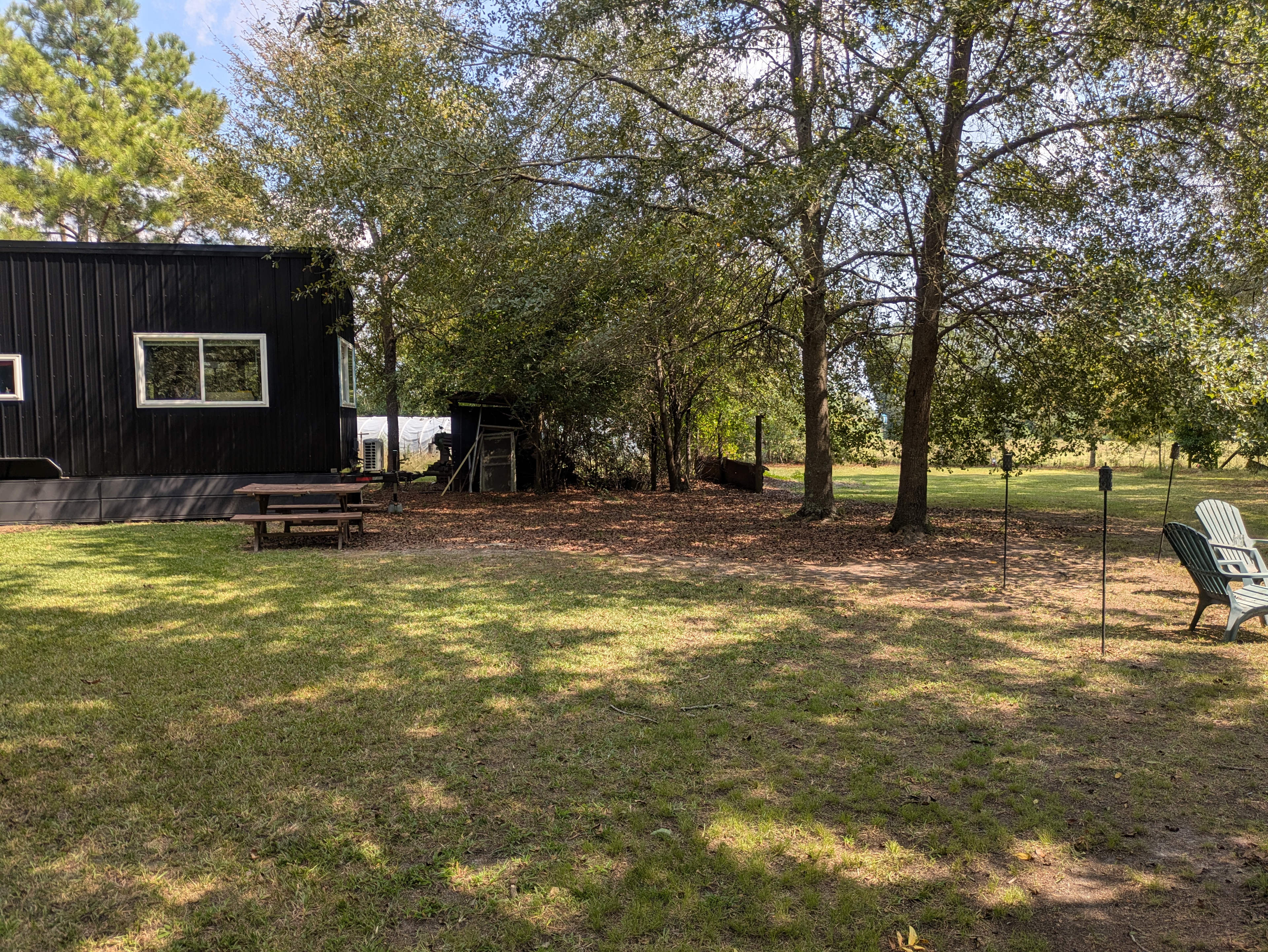 View of the campsite, picnic table, and tiny home from the pecan trees