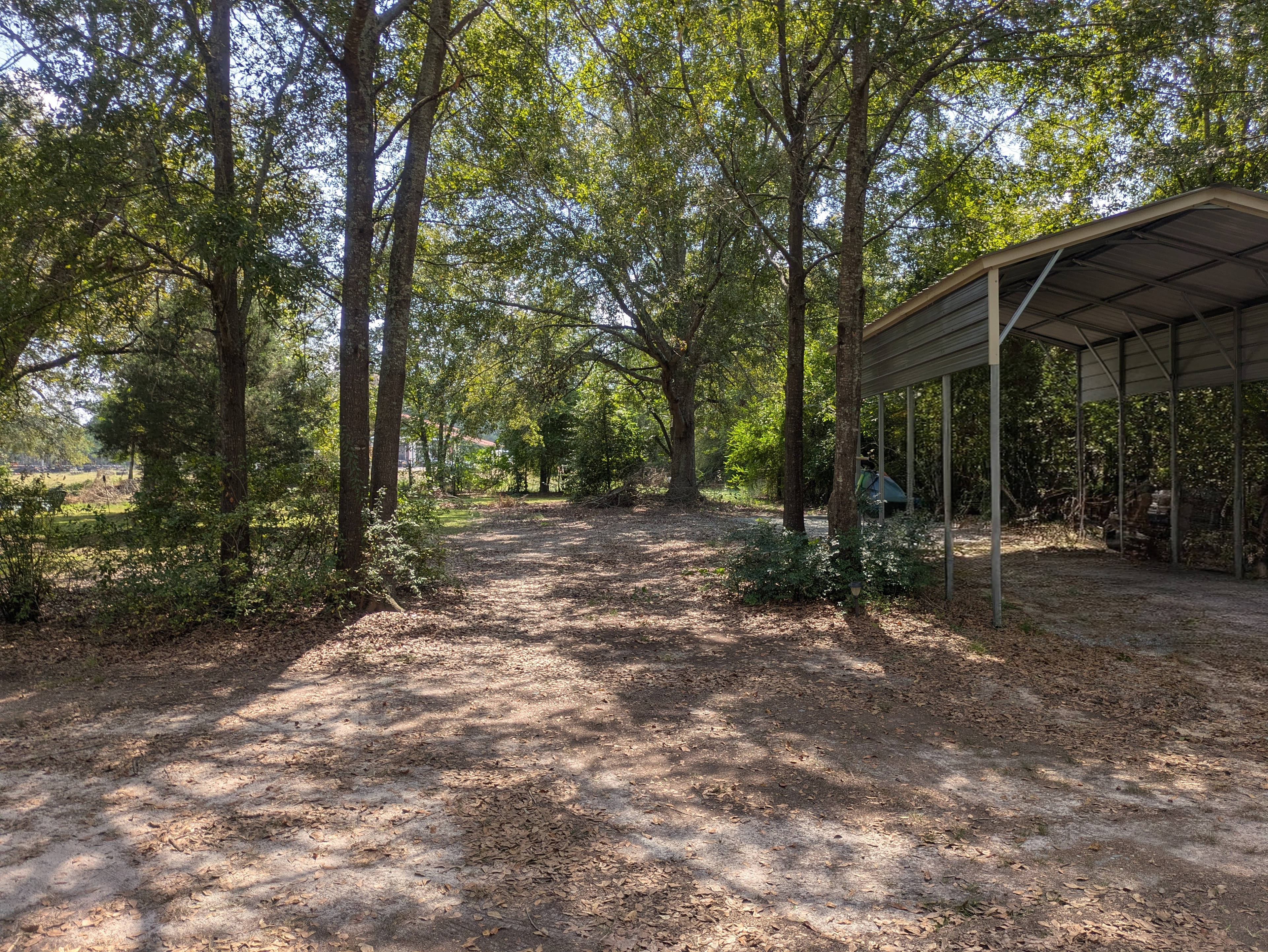The entrance to the pecan grove