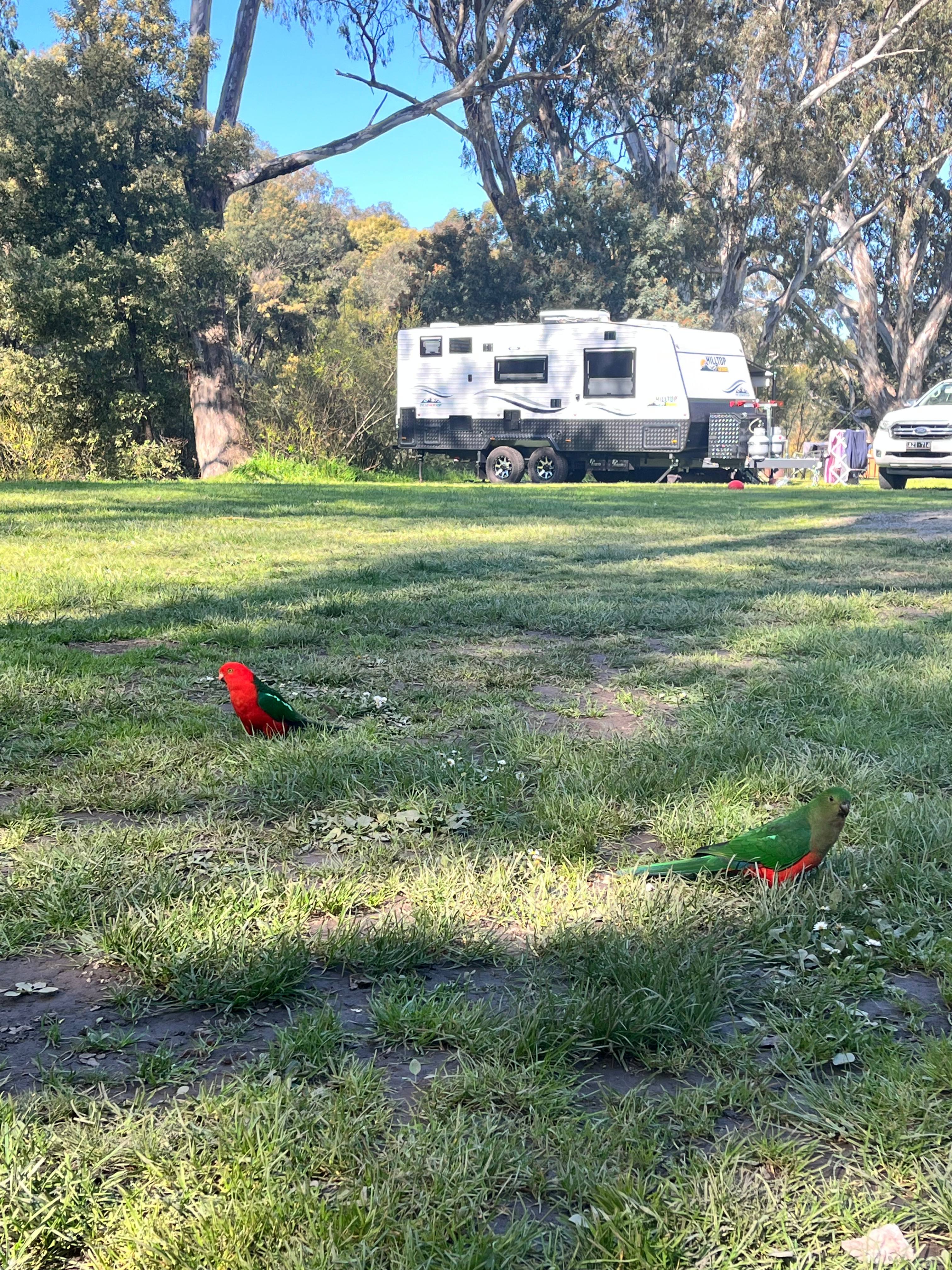 Riverbend Holiday Park