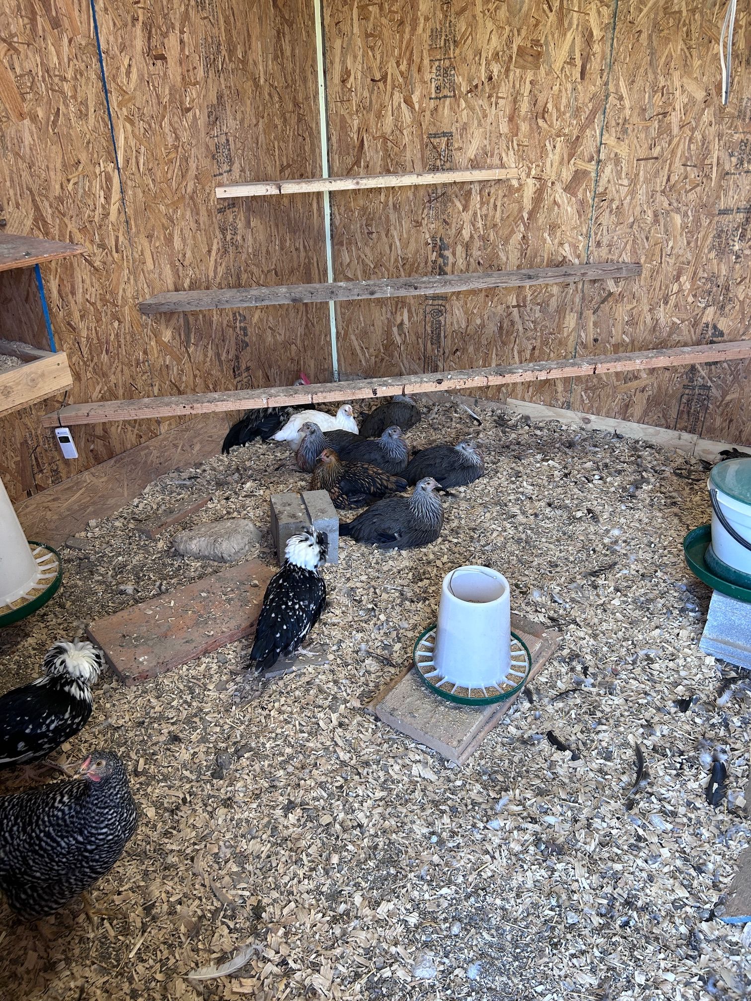 Yellowstone Eco Farm Retreat