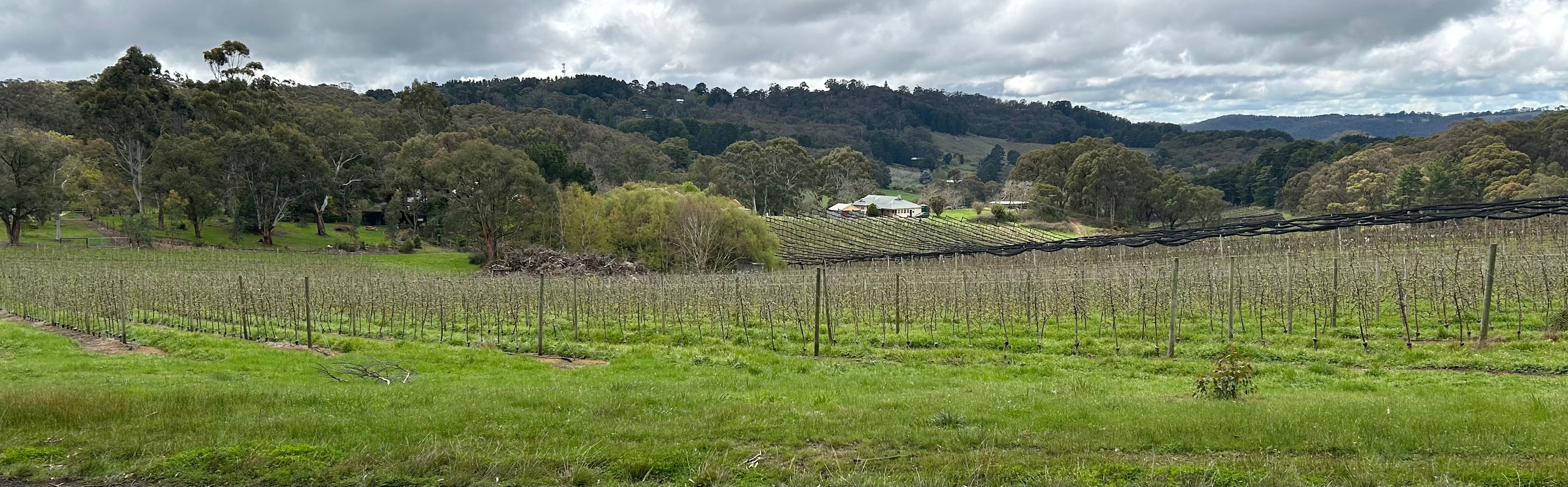 Adelaide Hills Magical Retreat