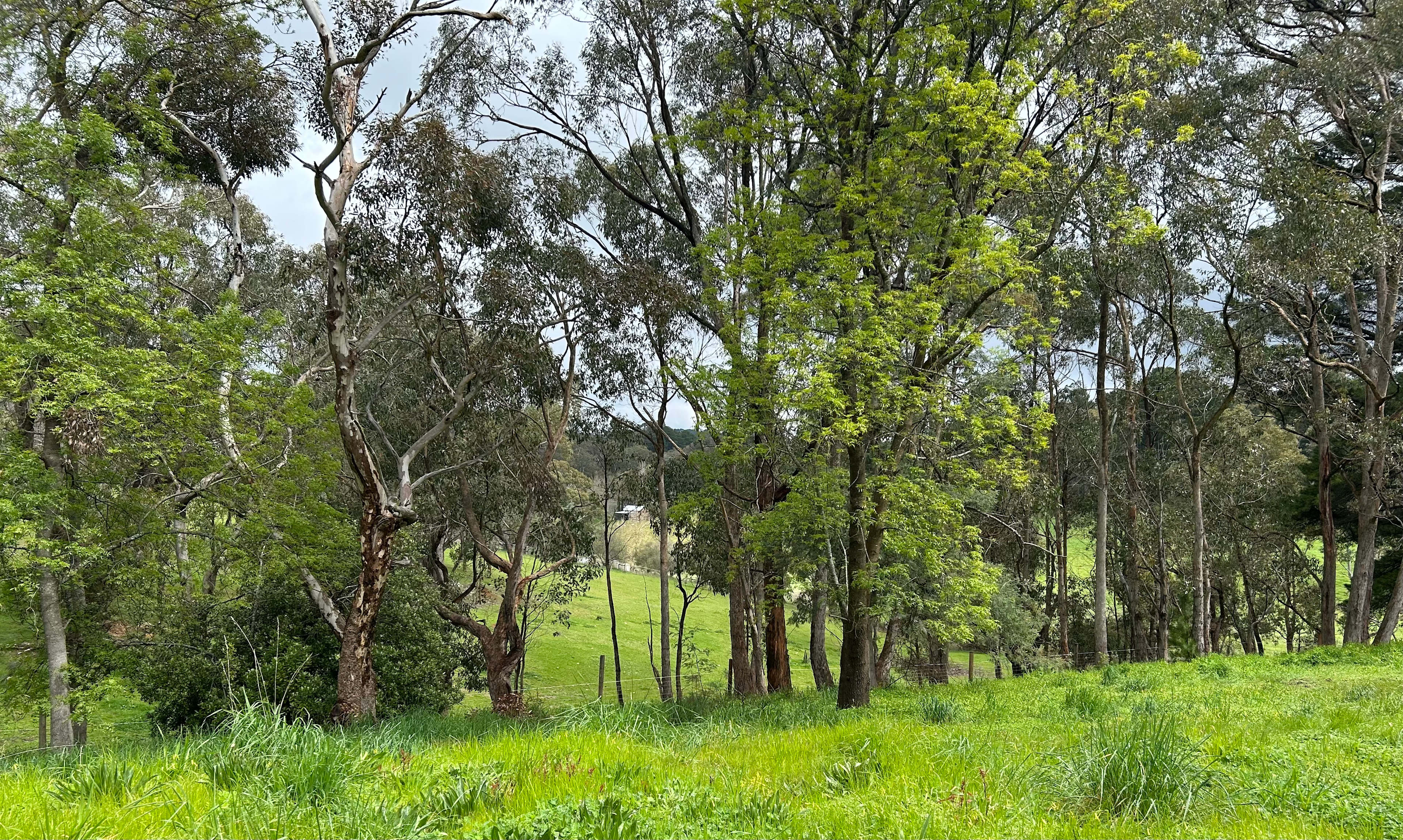 Adelaide Hills Magical Retreat