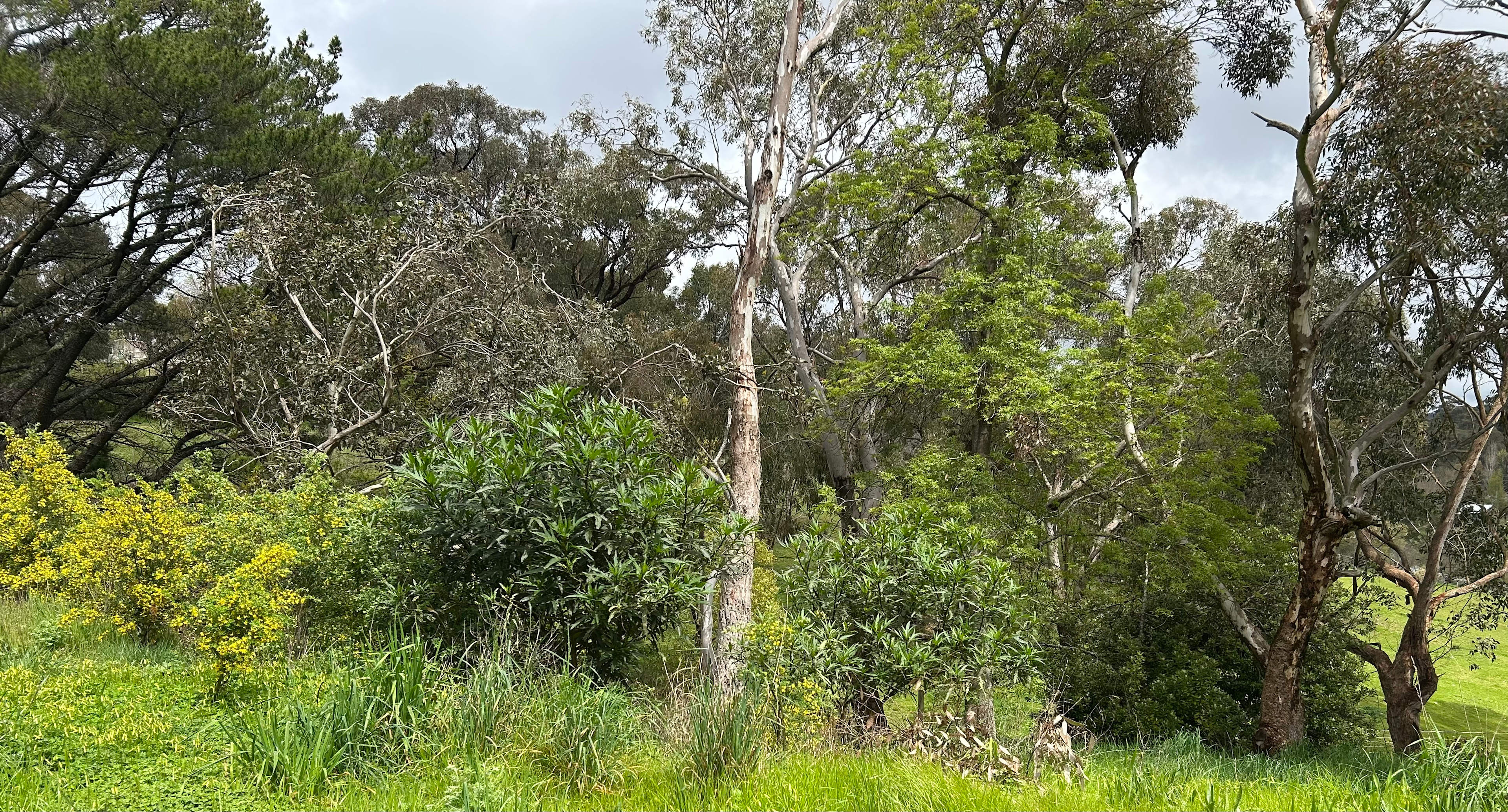 Adelaide Hills Magical Retreat