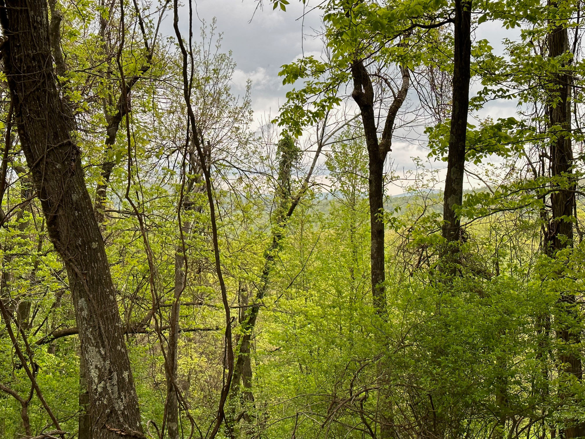 Black Ridge RV Camp Sites