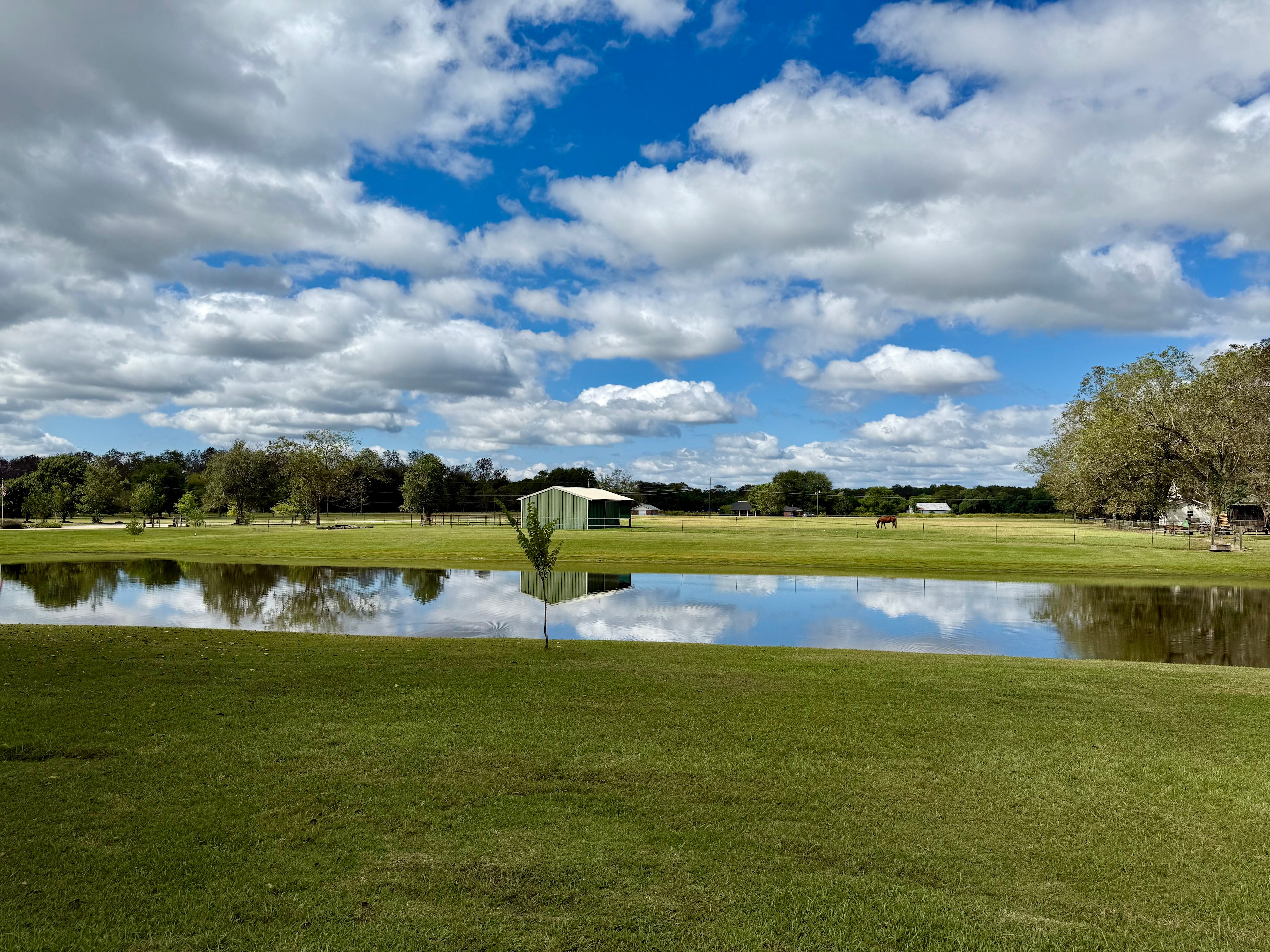 There is a beautiful view of our neighbor’s horses. 