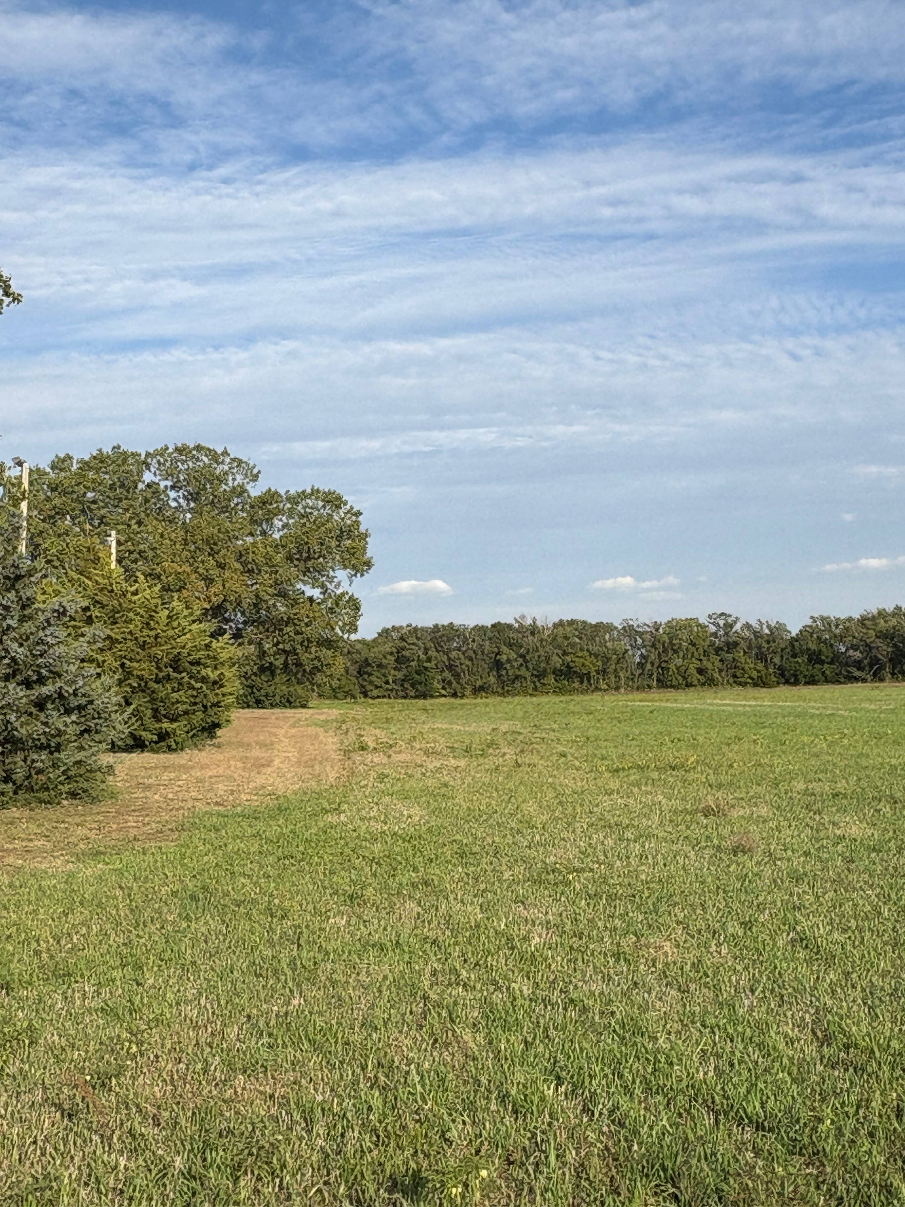 Campsite. RV will back to cedar trees. 