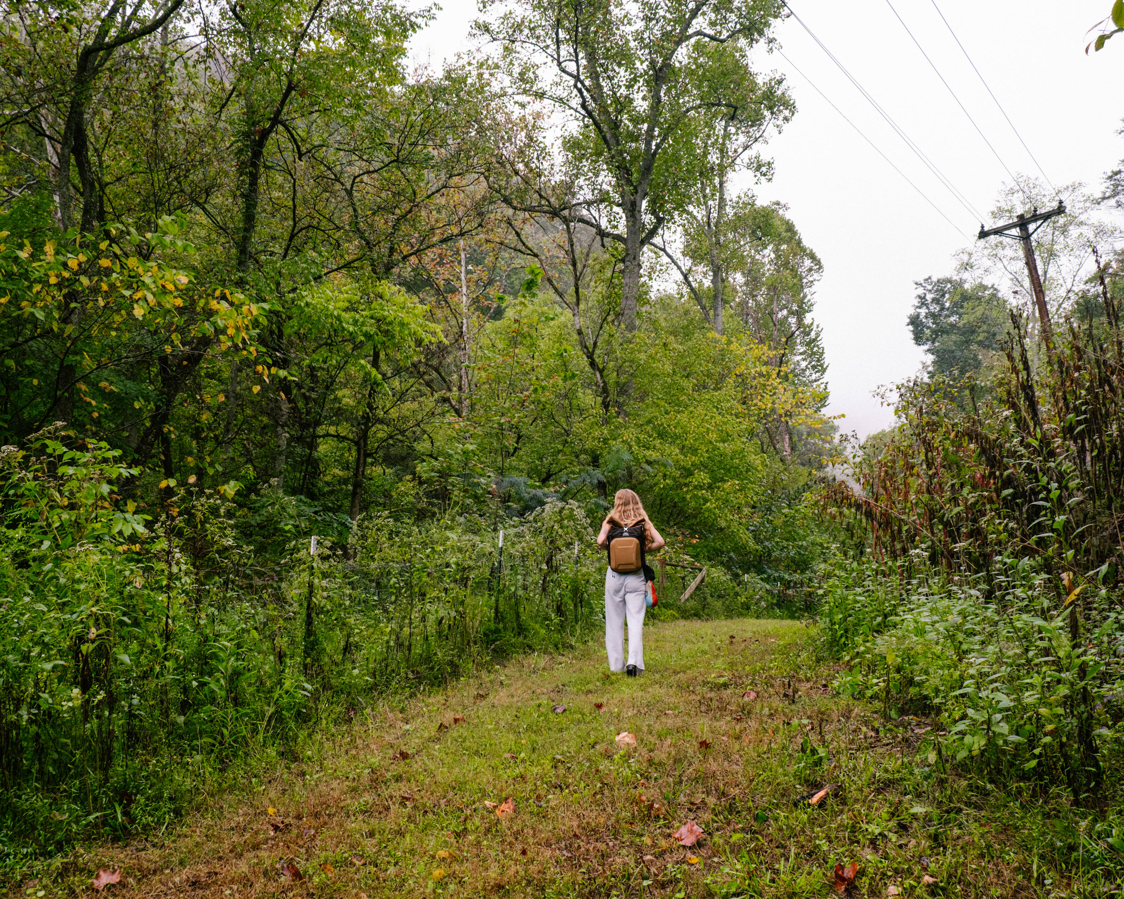 beautiful trail on property!