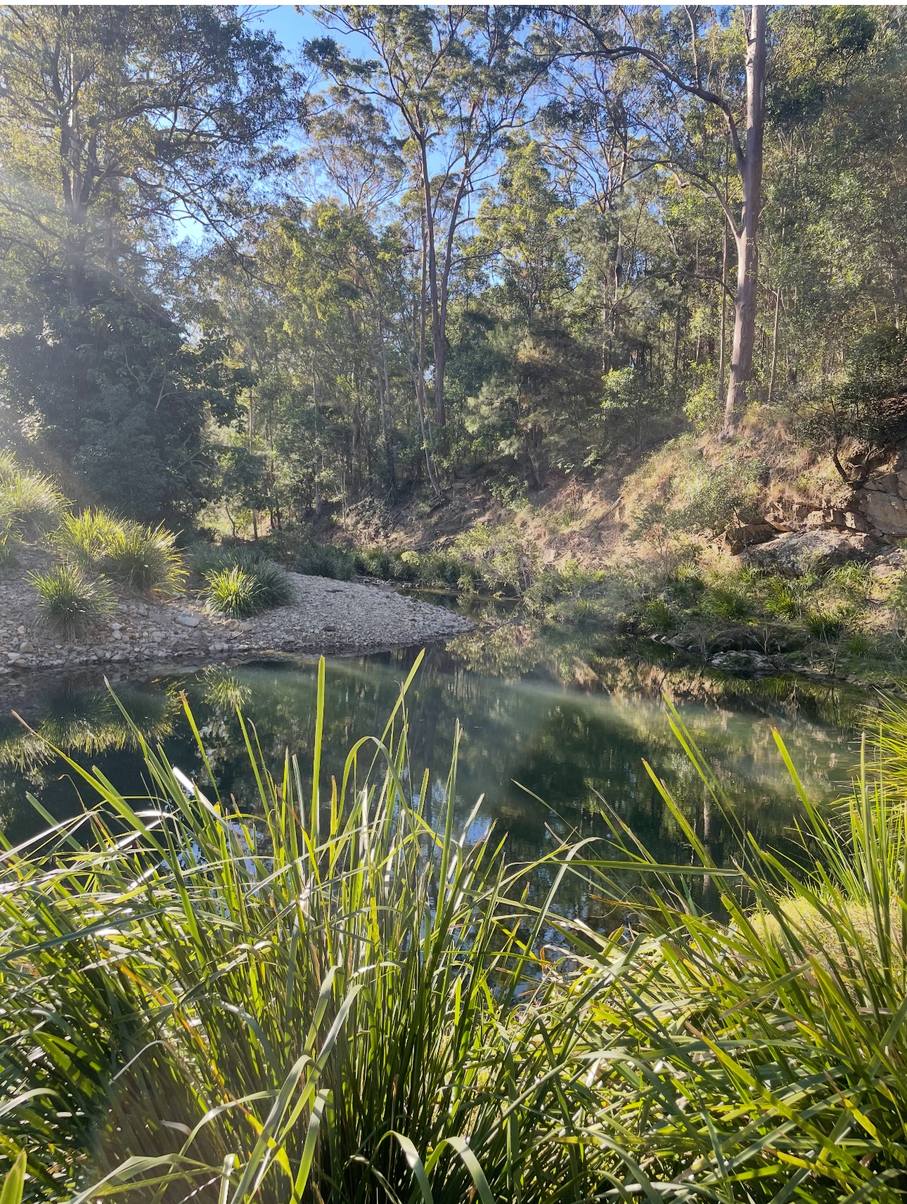 The Creekside Collective