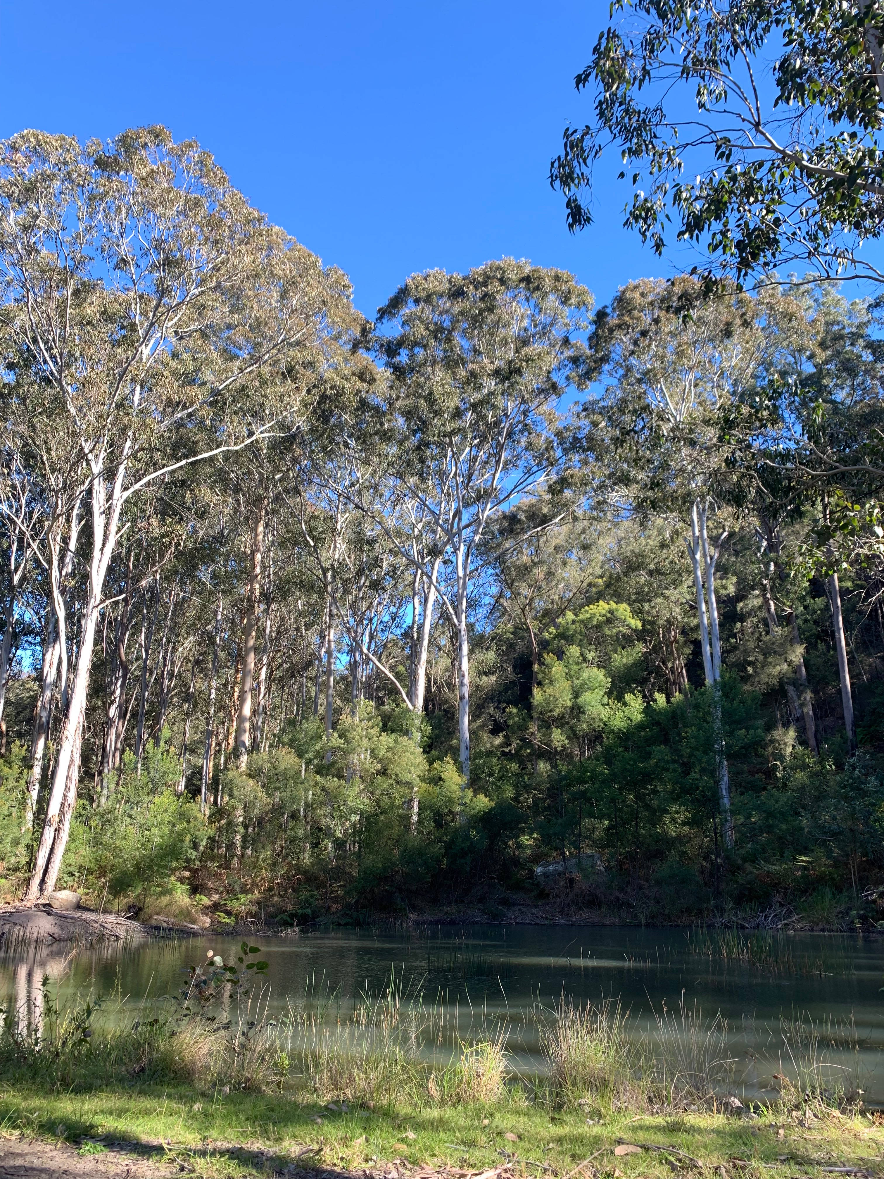 The Upward Place/Boree Bush Bakery