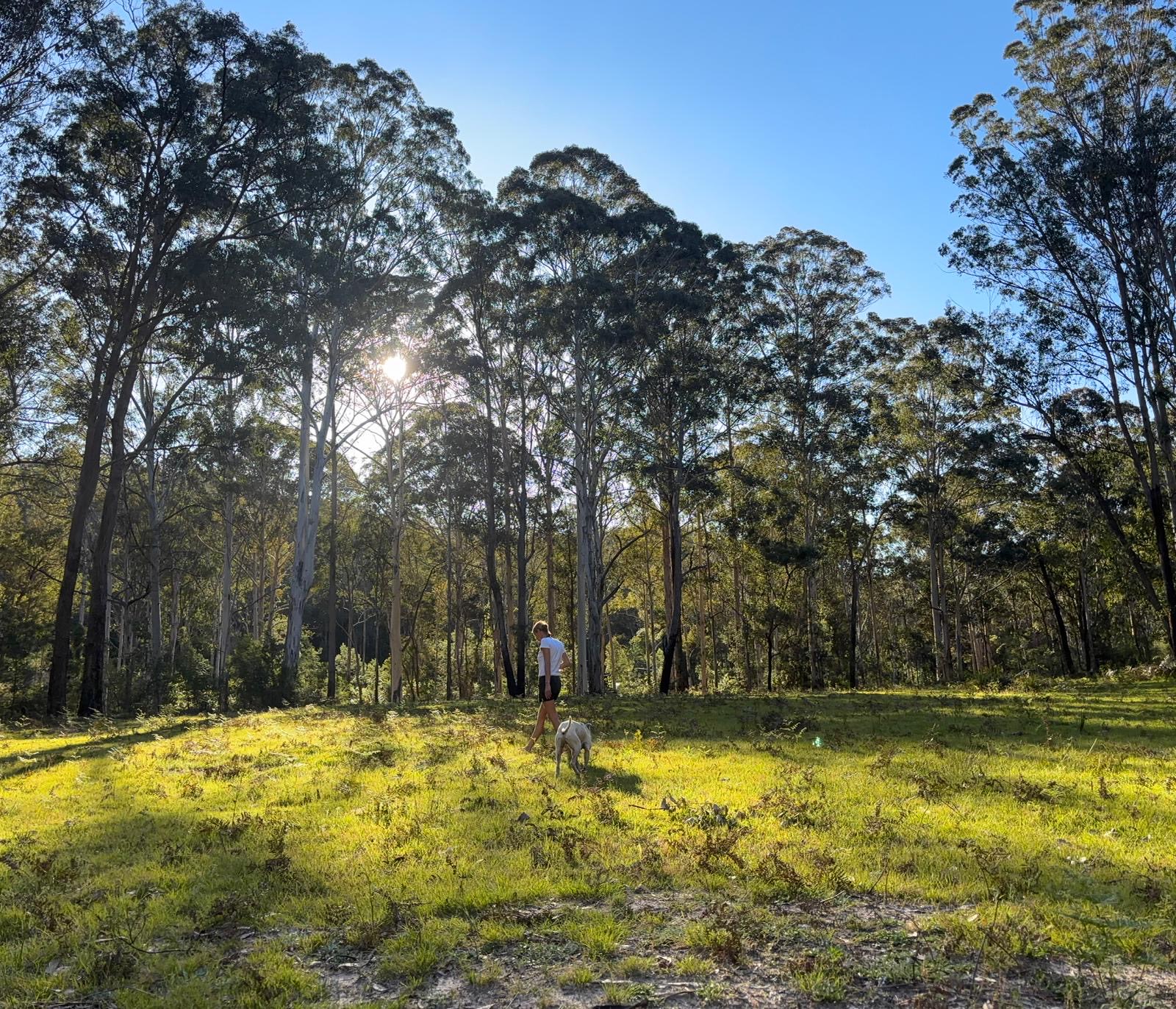 The Upward Place/Boree Bush Bakery