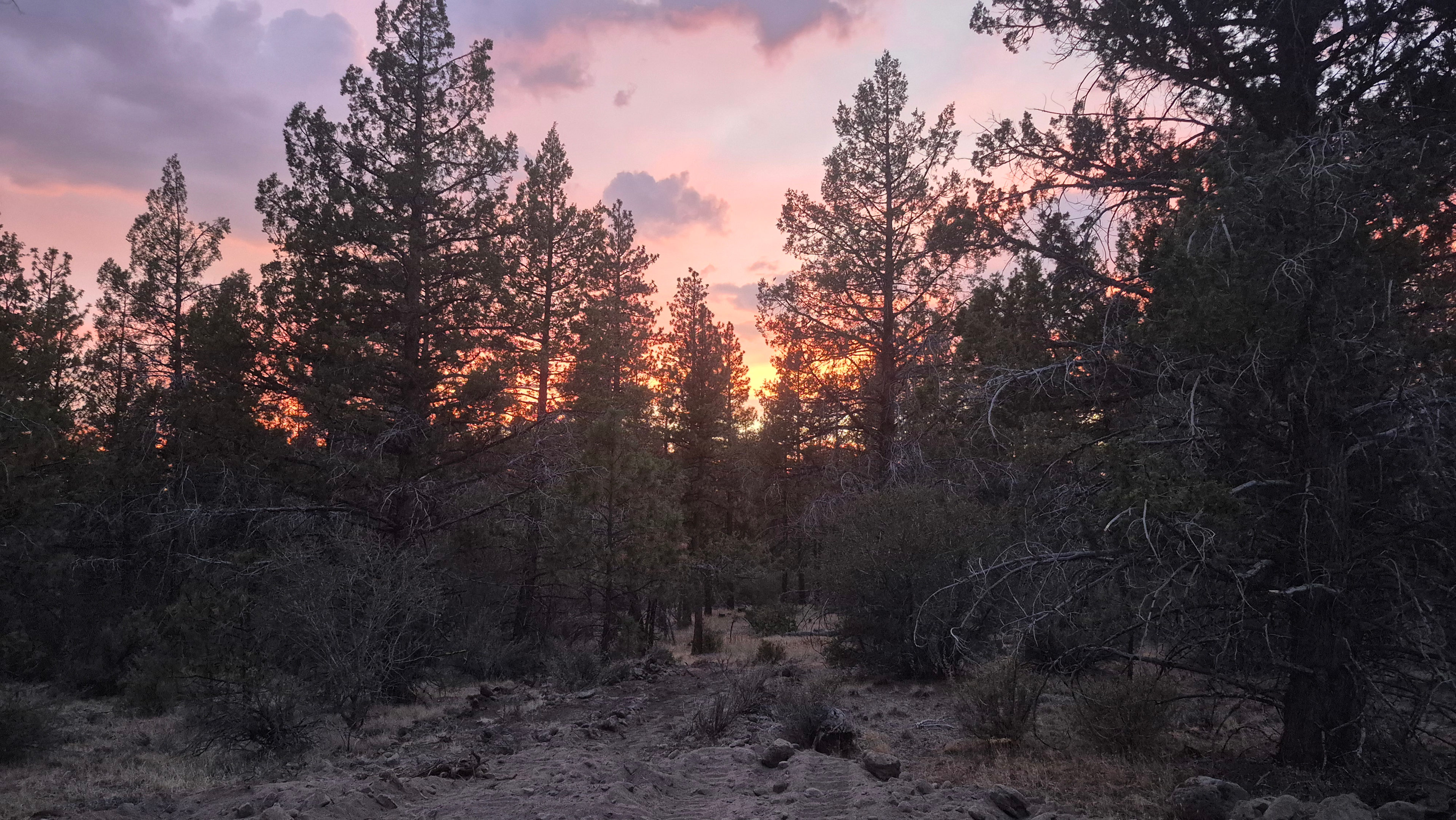 The Cowboy Experience