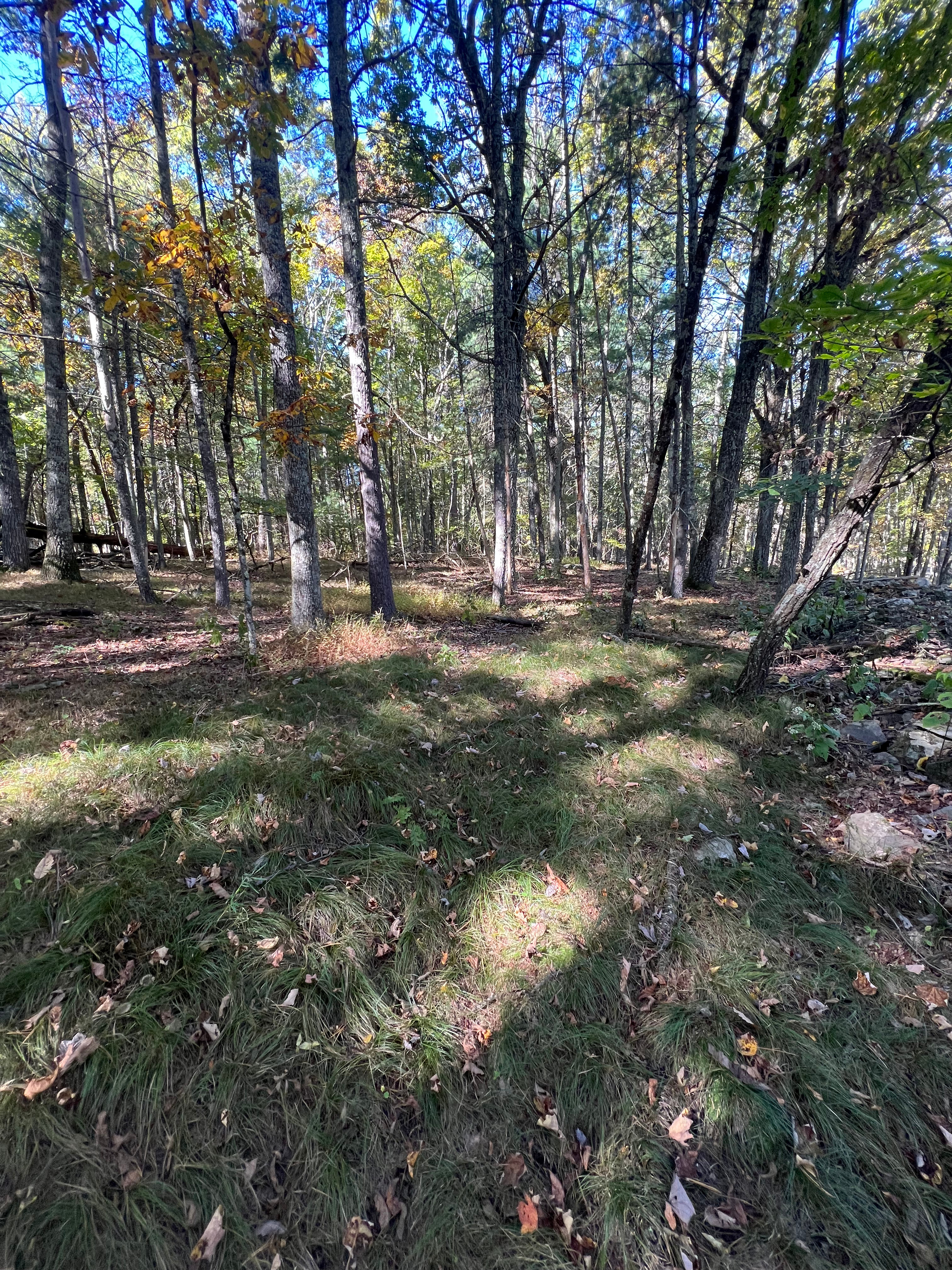Duck Homestead 20 mins from Gunks