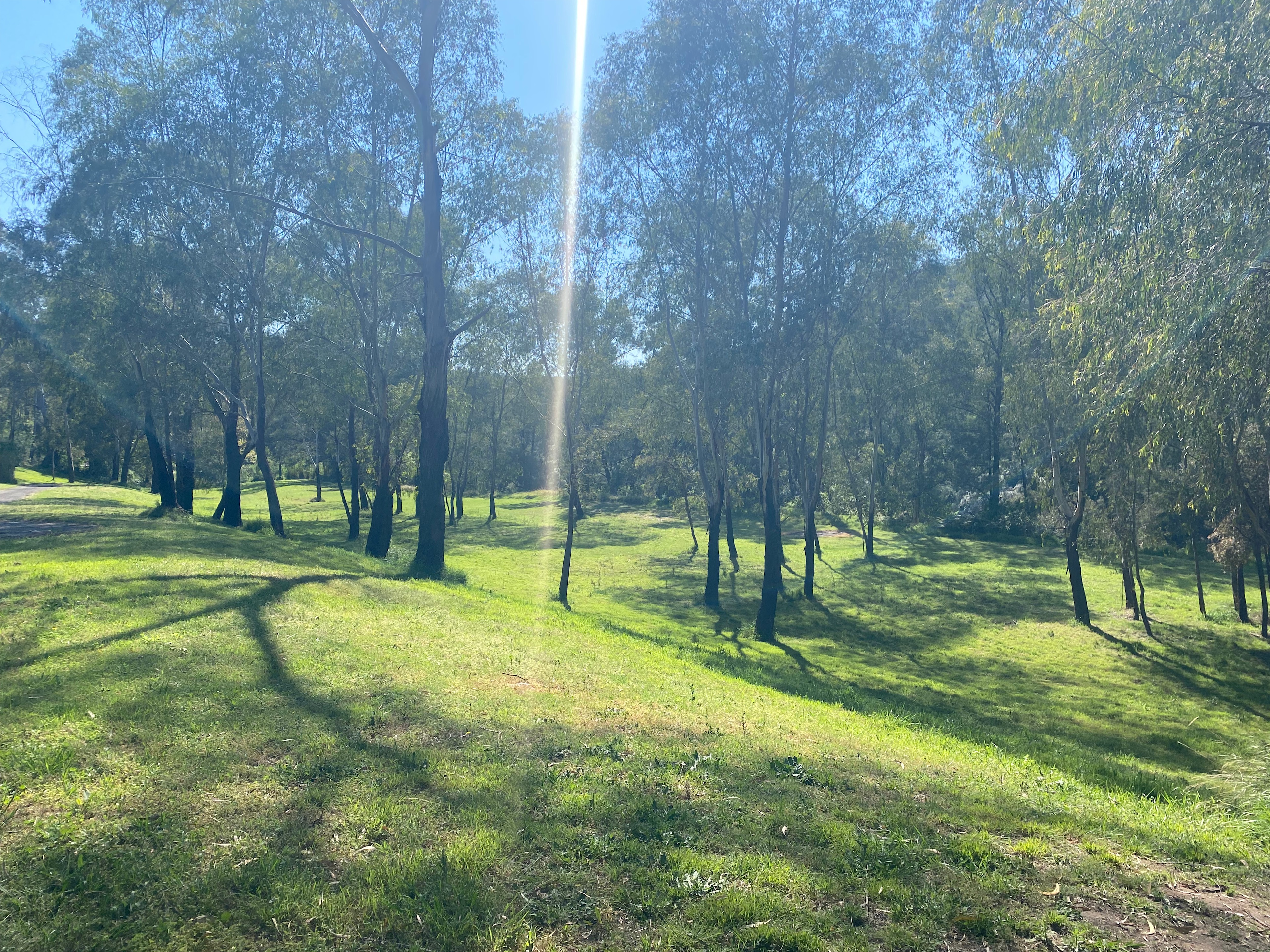 Whispering Gums Colo River Camping