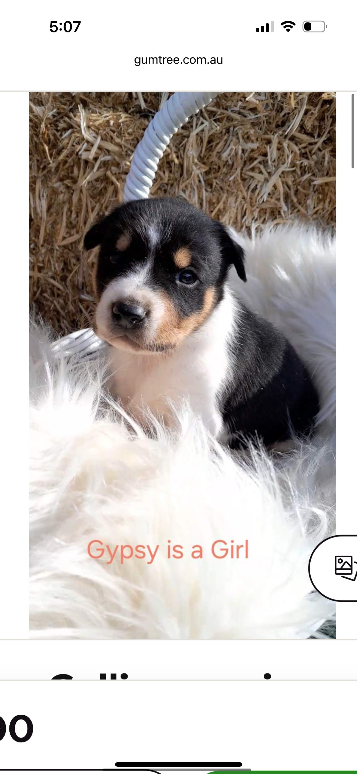 Gum Valley Eco Glampers