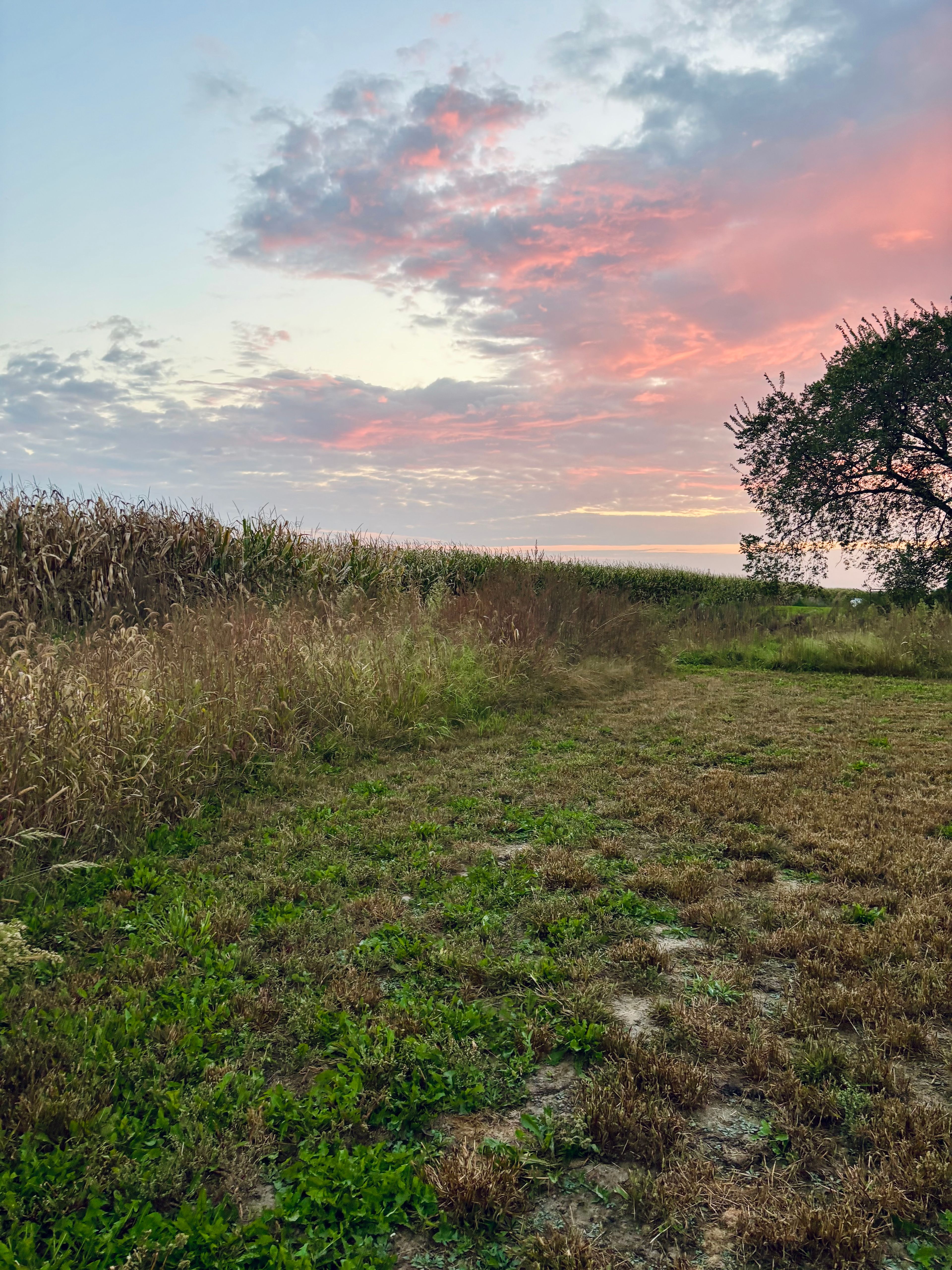 The glimpses of a sunrise from your site. 