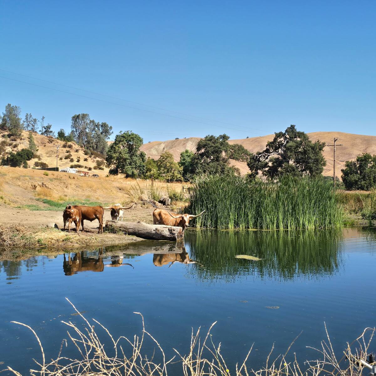 Cabin Chic A&B C-sites