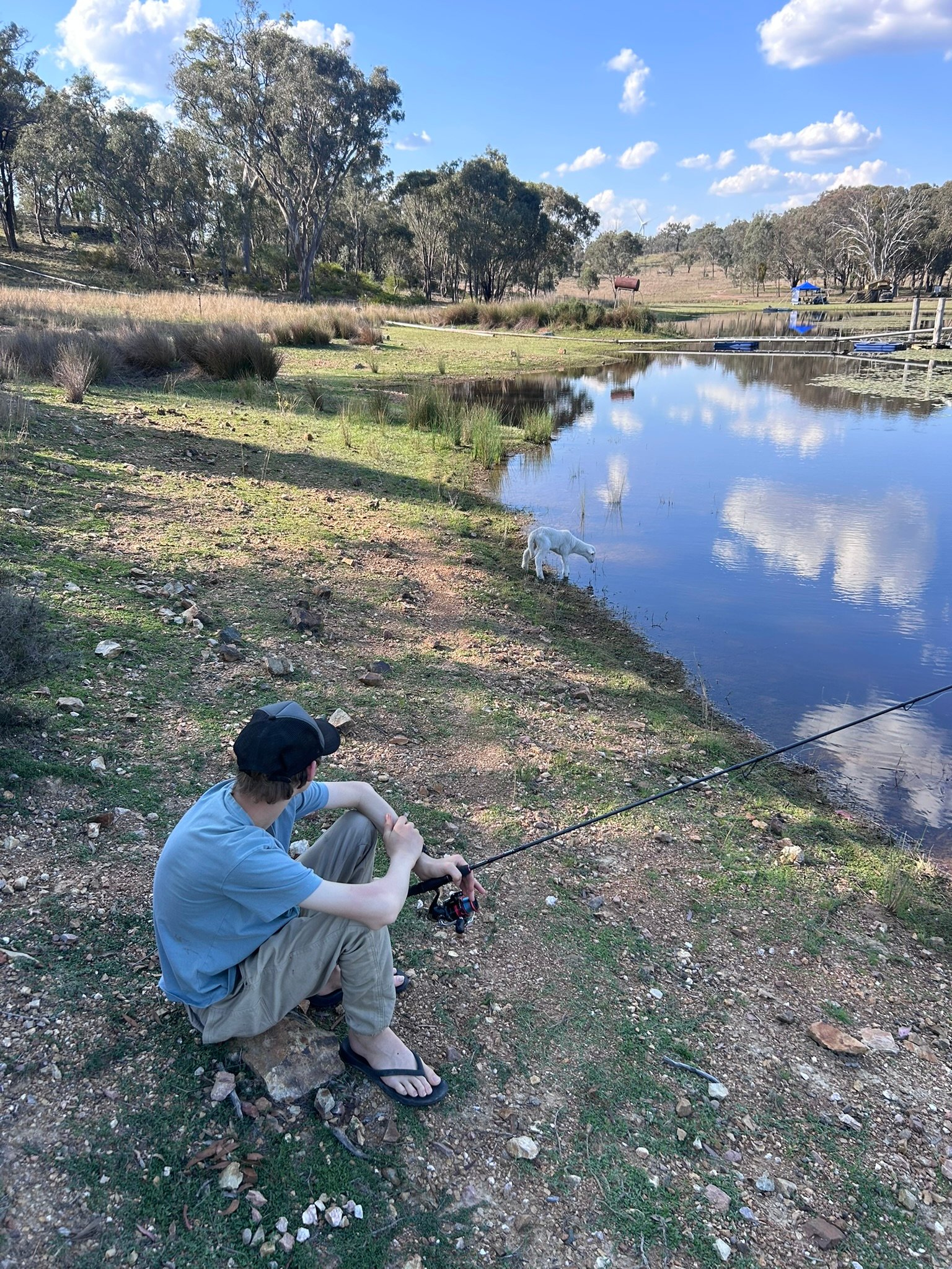 Here fishy, fishy, fishy