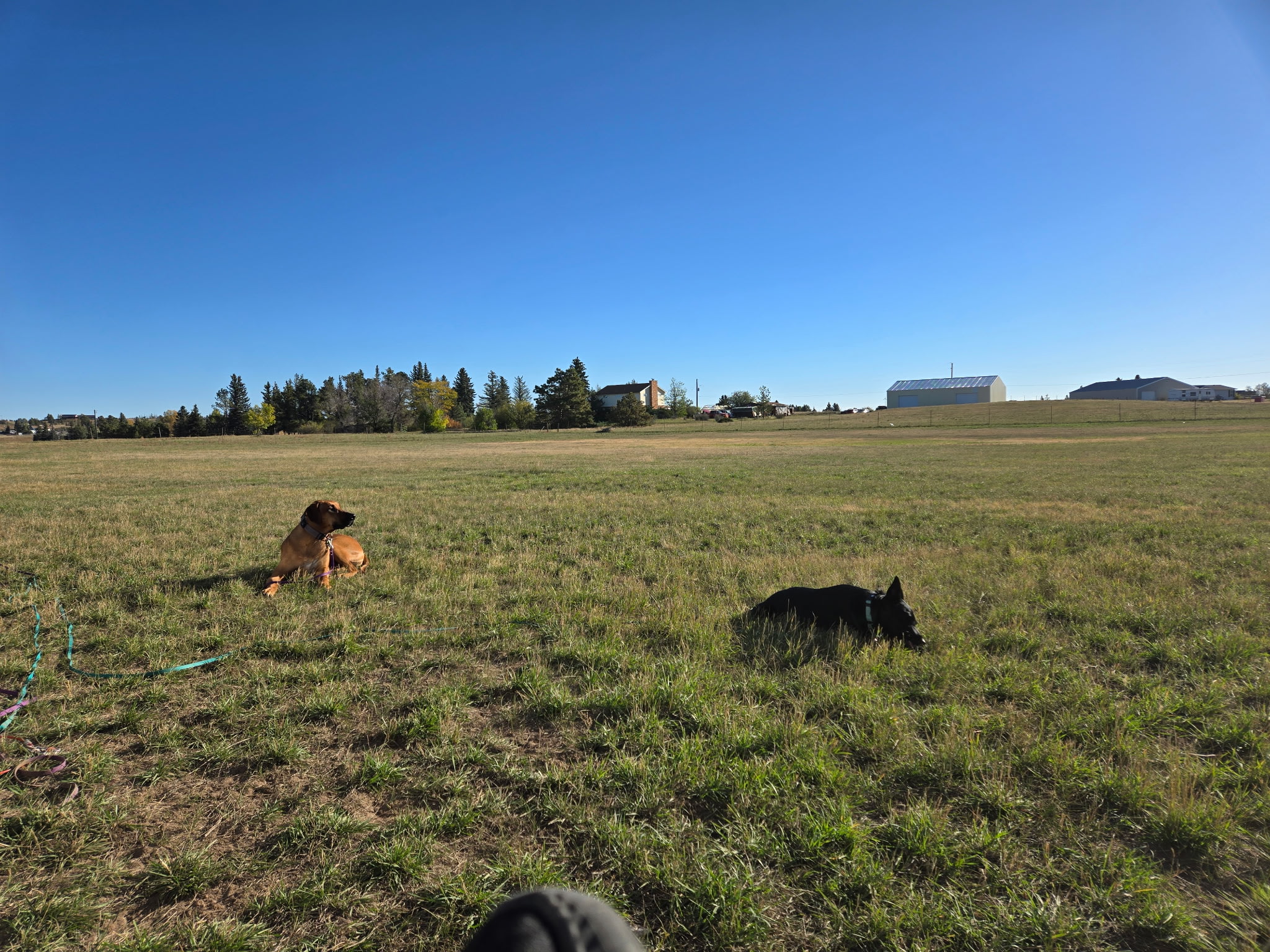 Lights Out-The Shed & Pasture