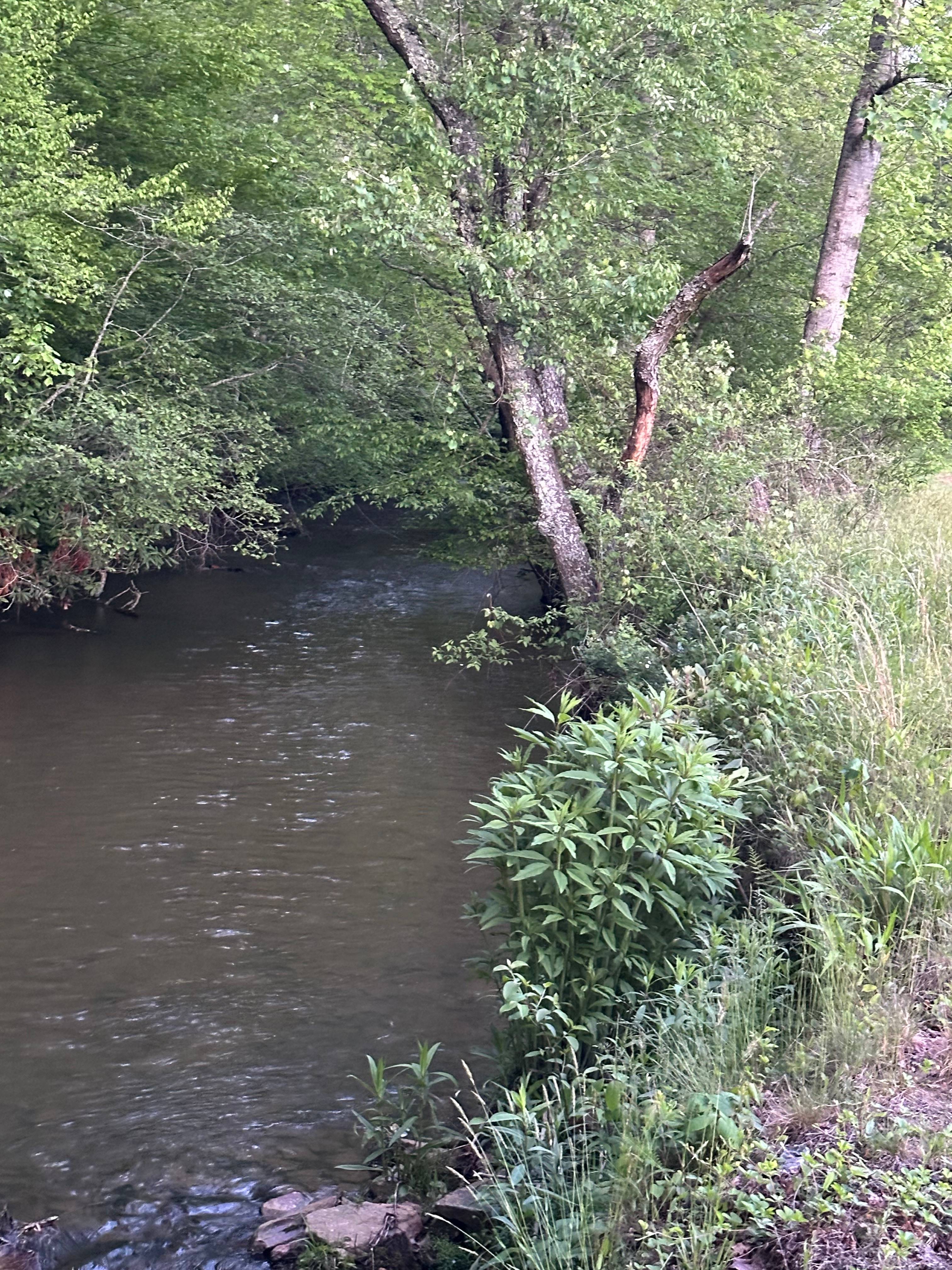 Up The Creek Pond House