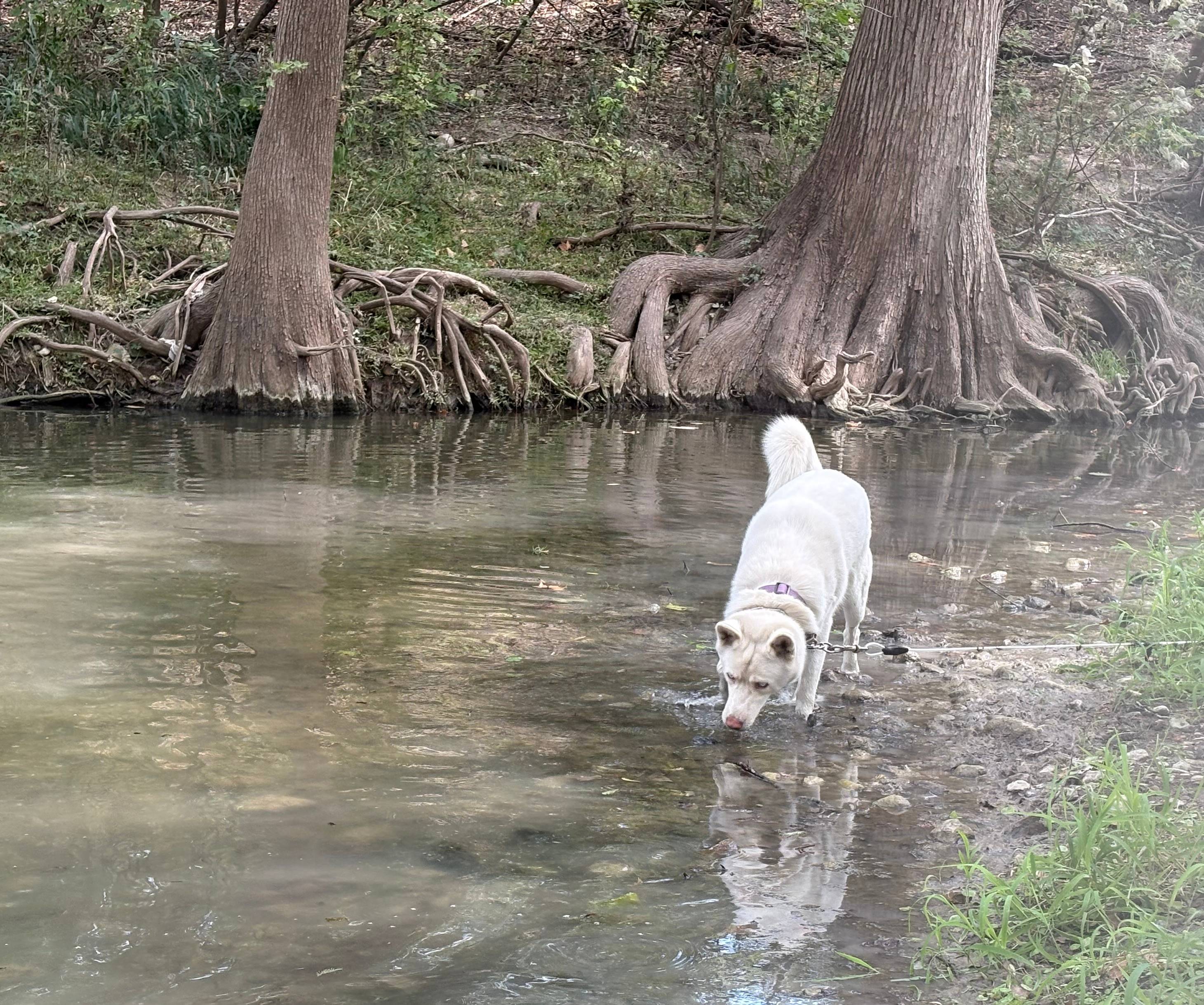 Alamo River RV Park & Campground