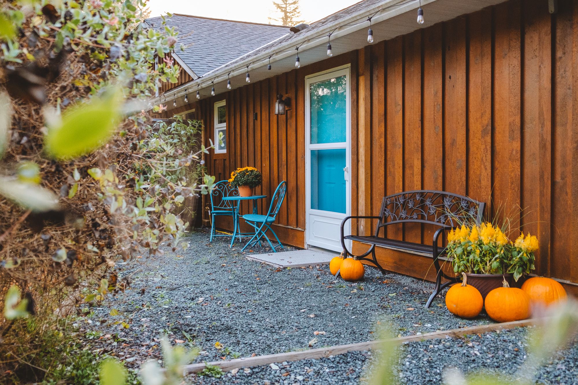 The fall vibes are on! 