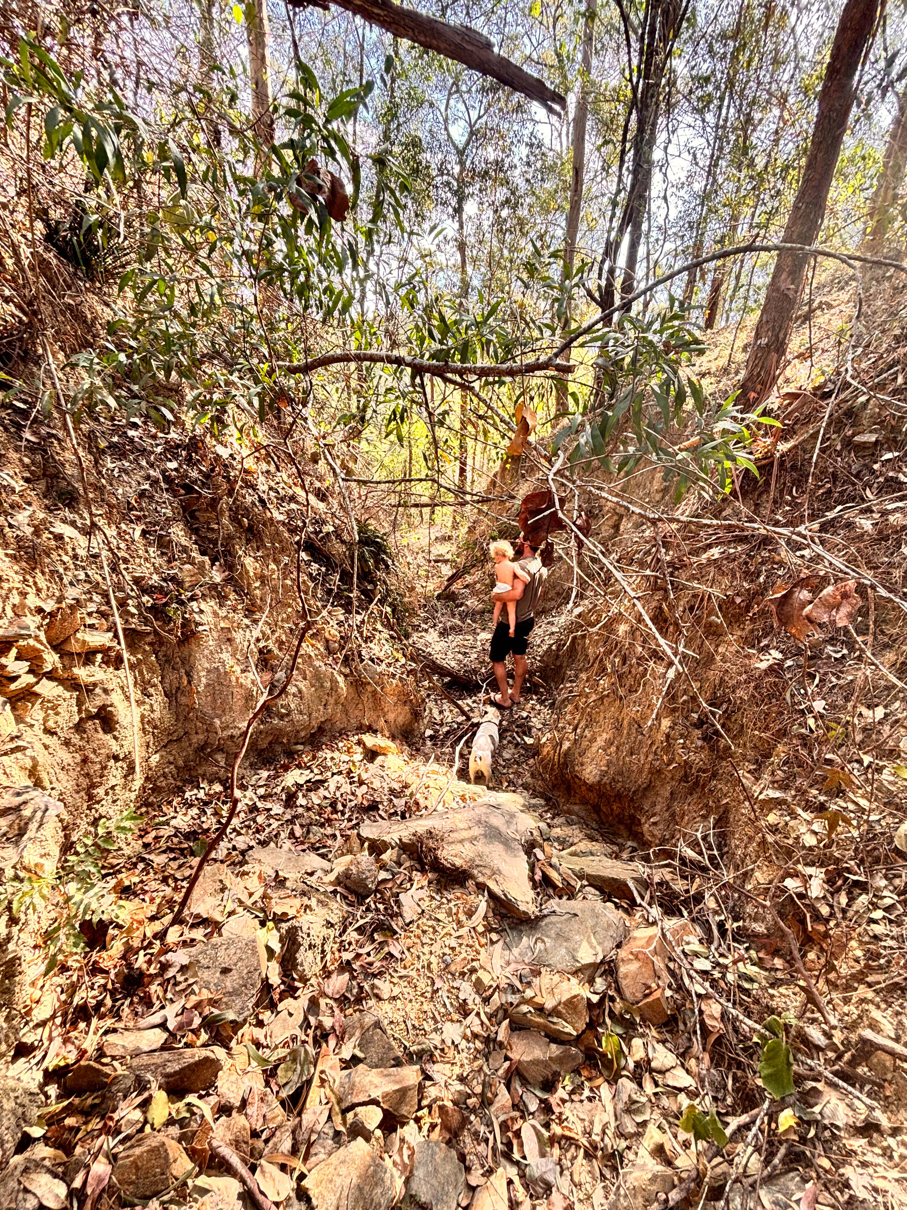 The Creekside Collective