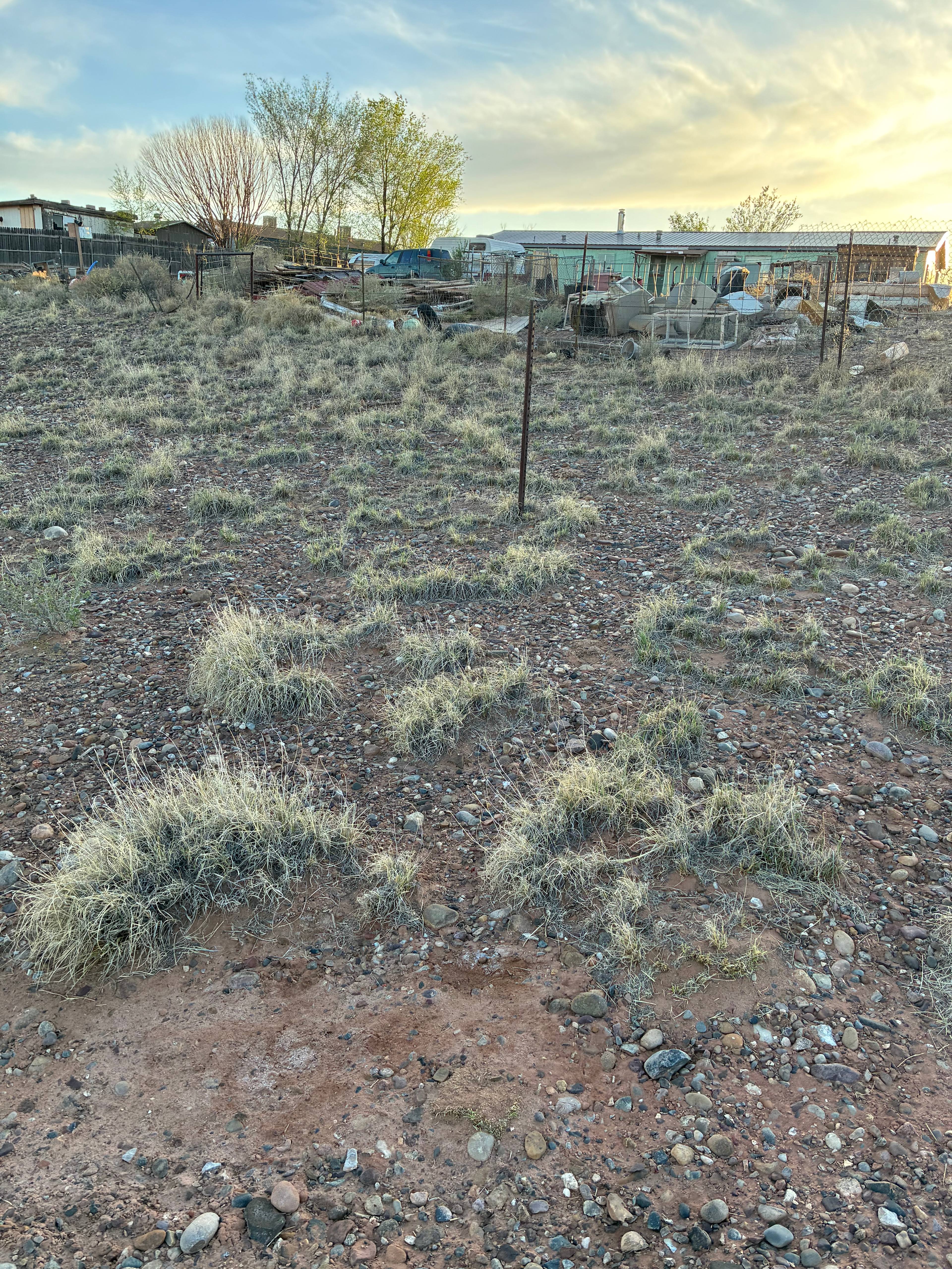 Route 66 Desert Rest