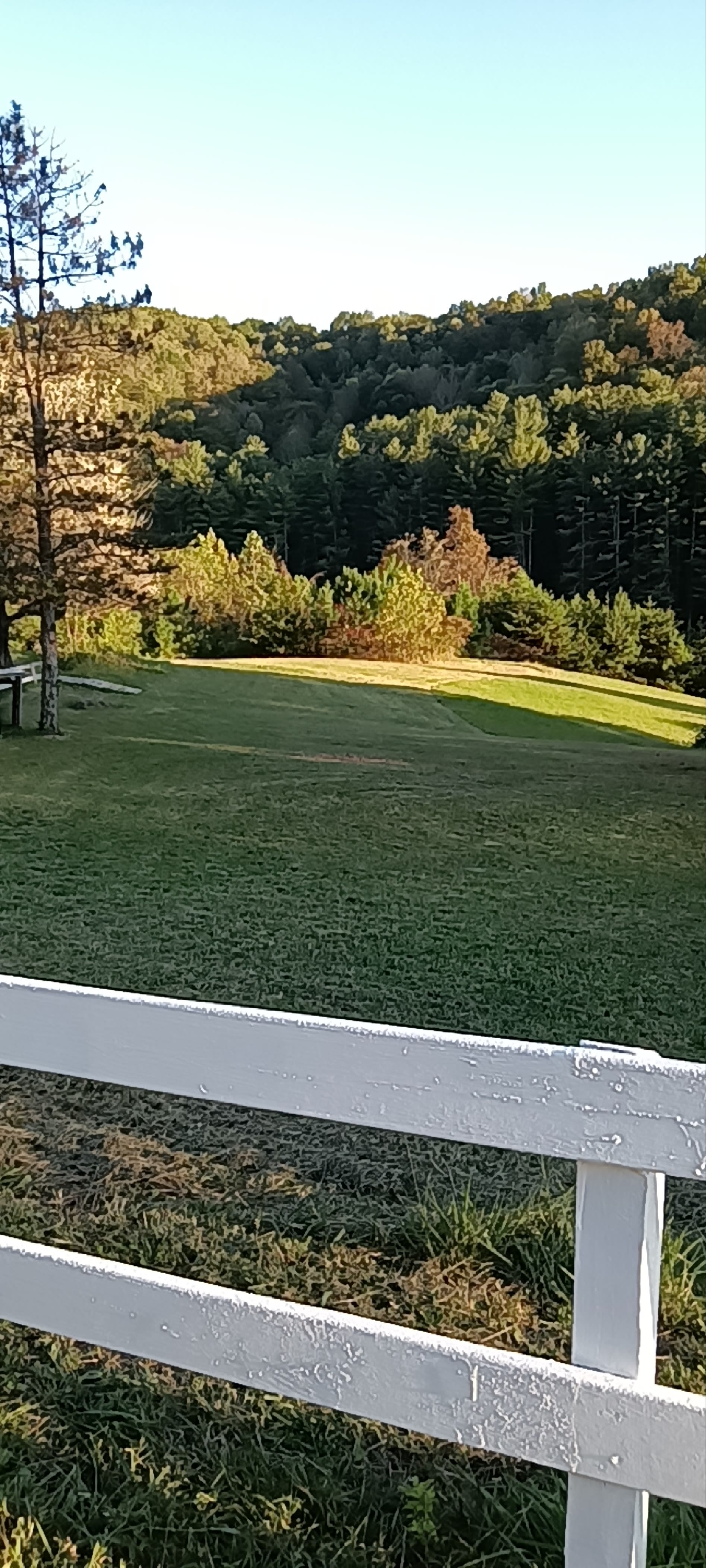 Cannon Lake Private Woodland