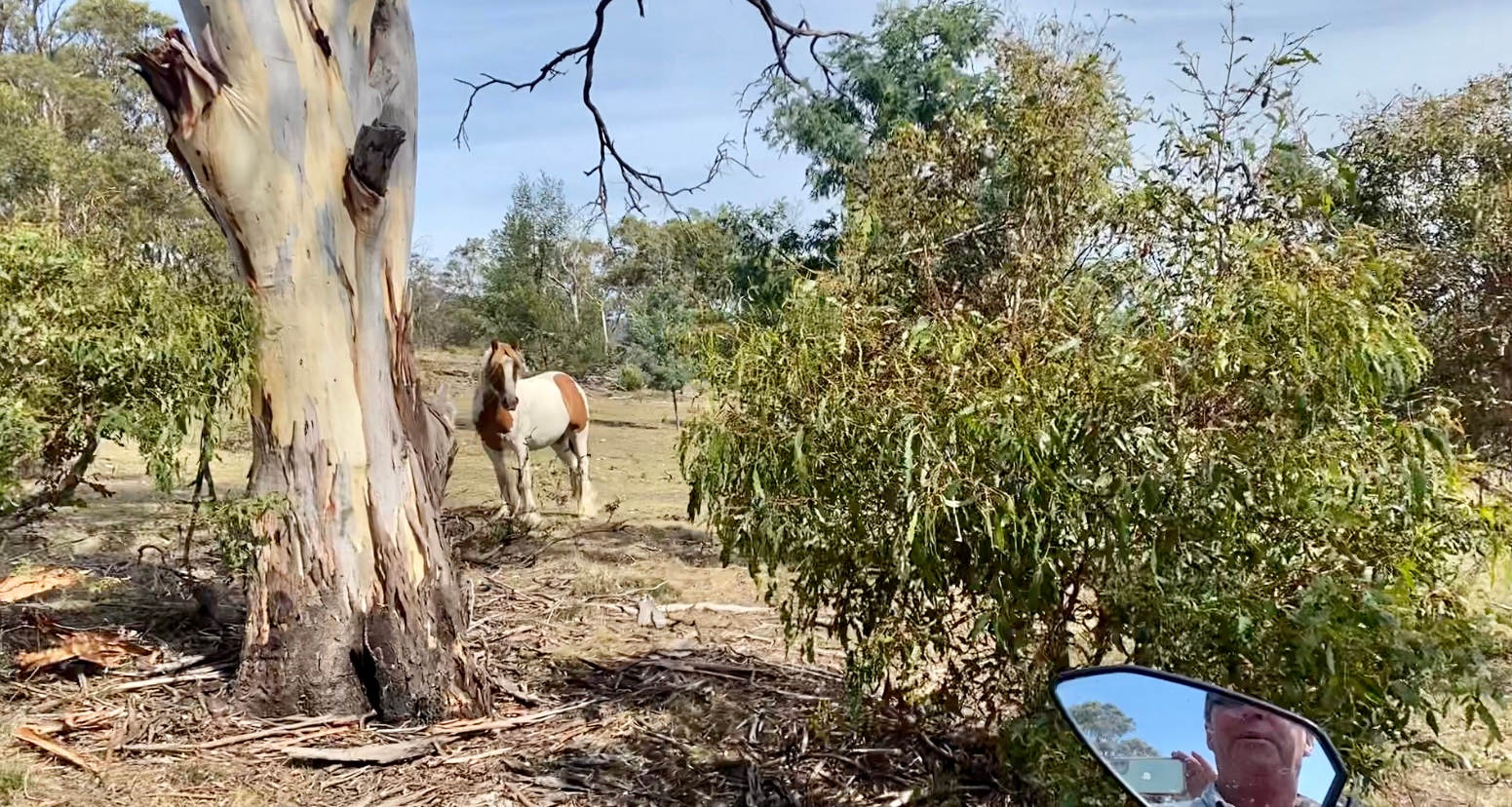 Honeywood Valley Farms