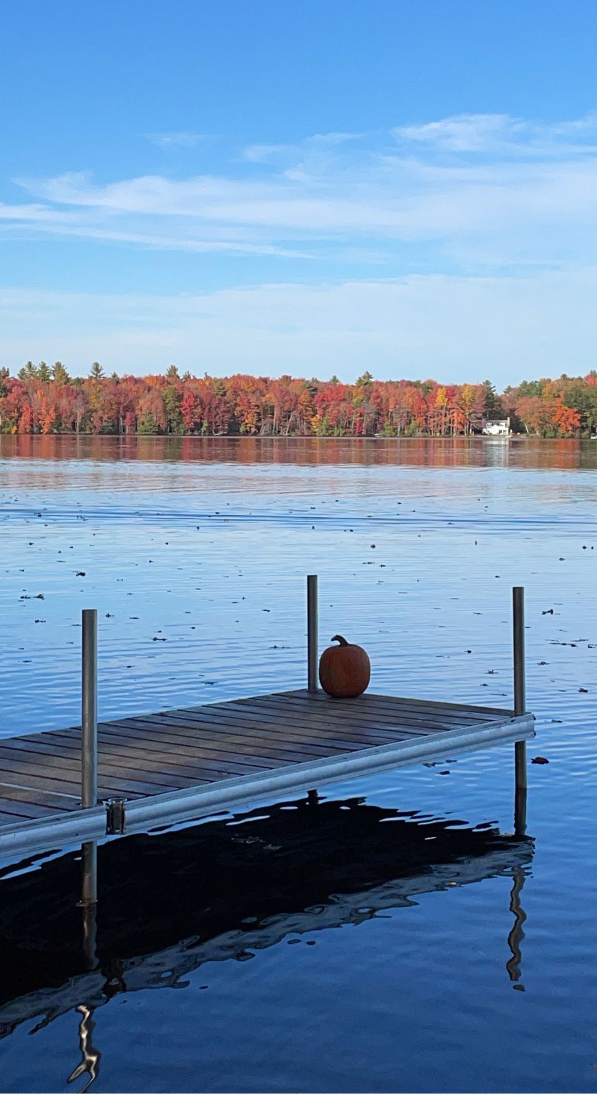 On the Pond at Camp It'll-Do