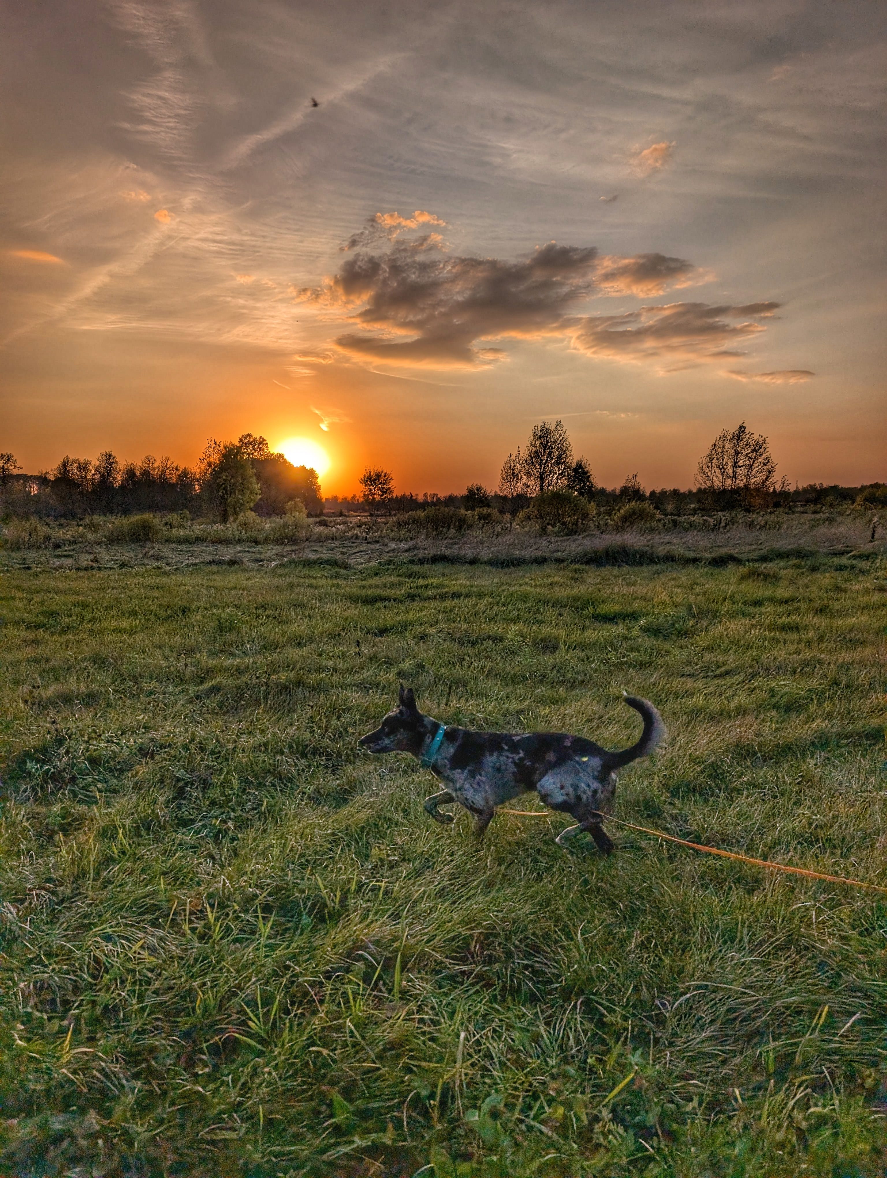 Farm, With Everything. All Welcome.