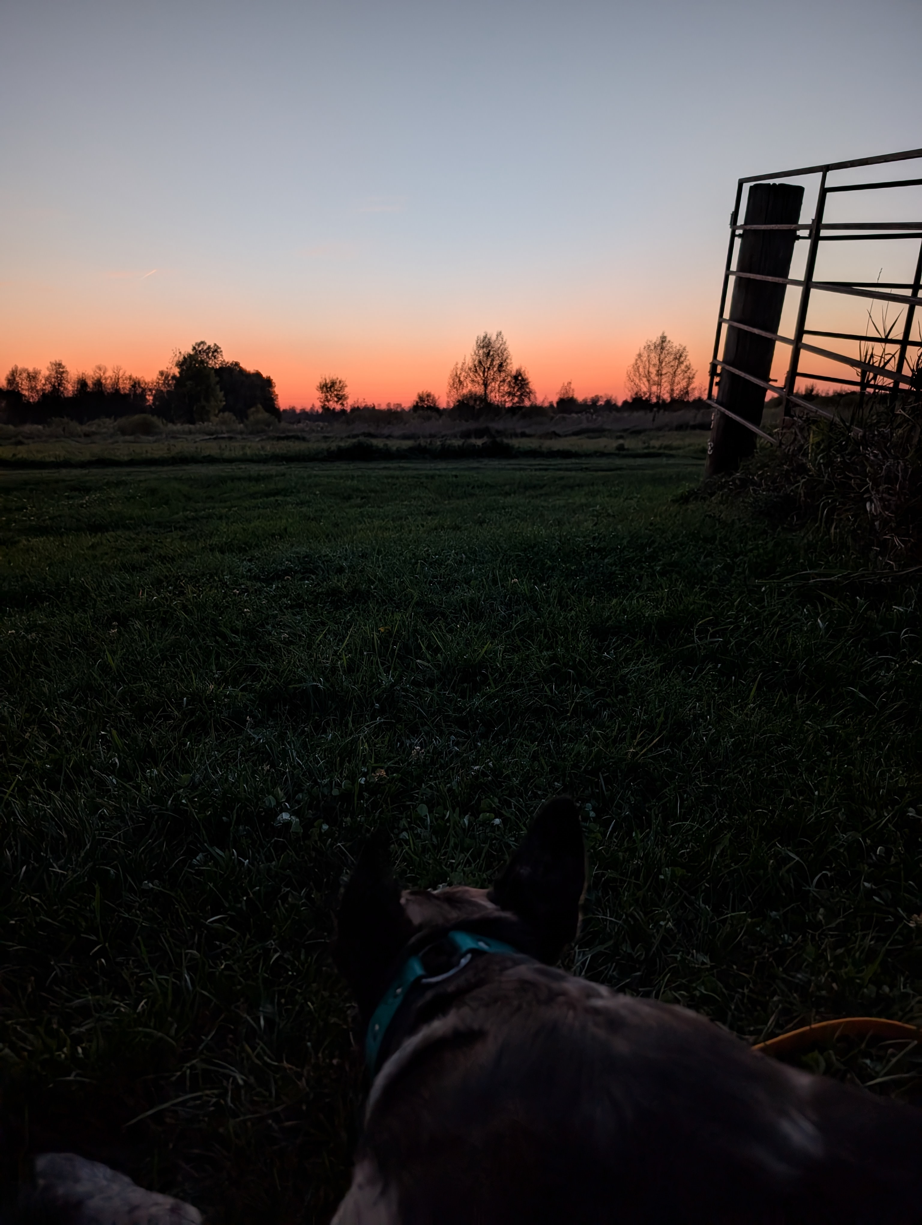 Farm, With Everything. All Welcome.