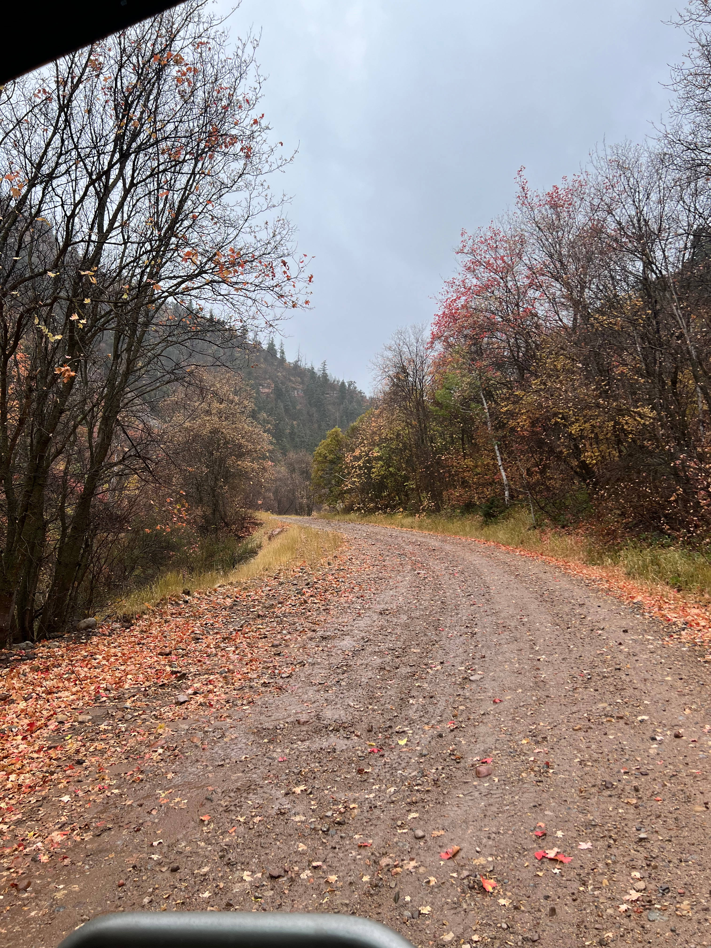Harward Family Ranch