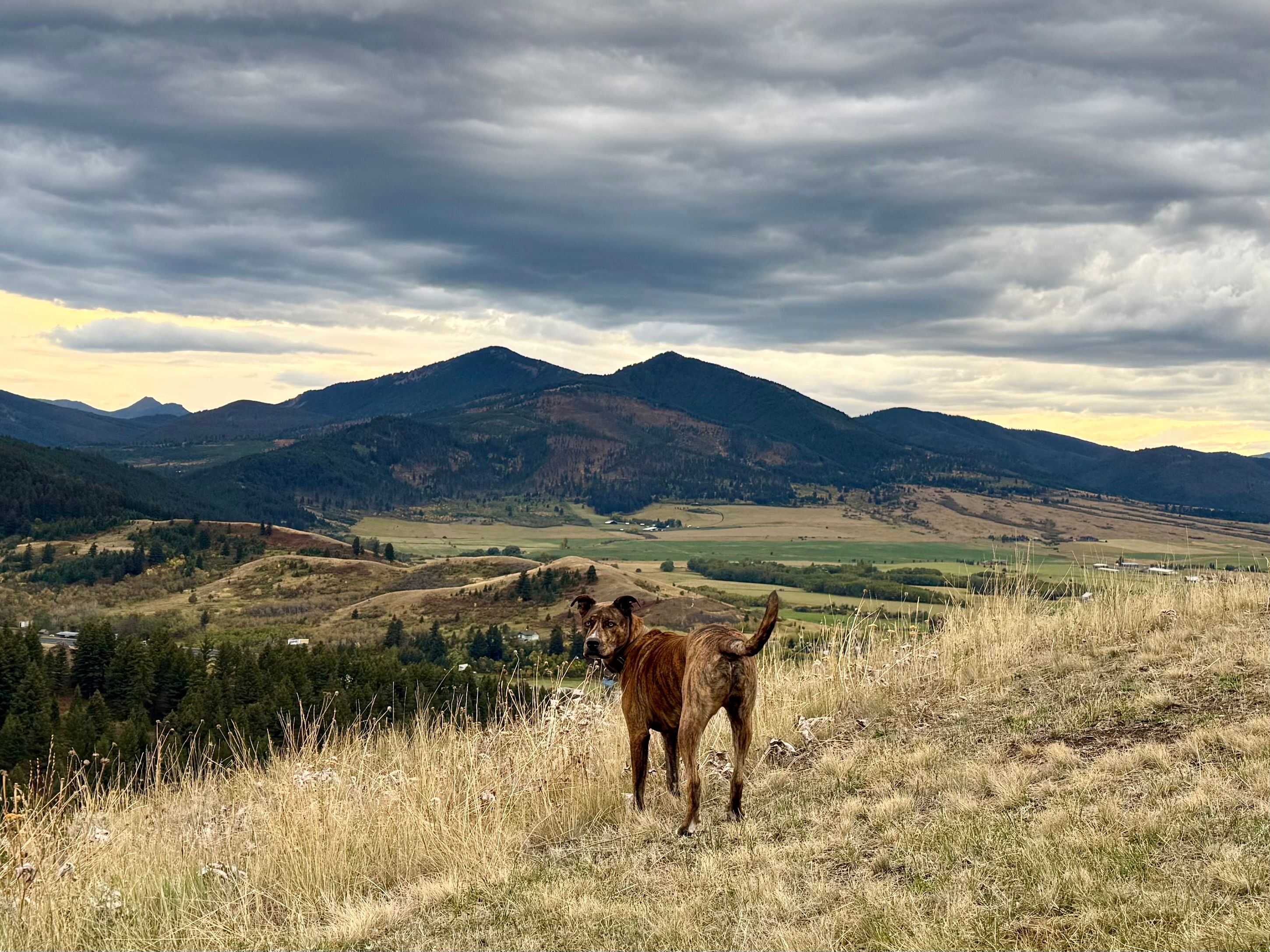 Most Amazing Camper Site in MT