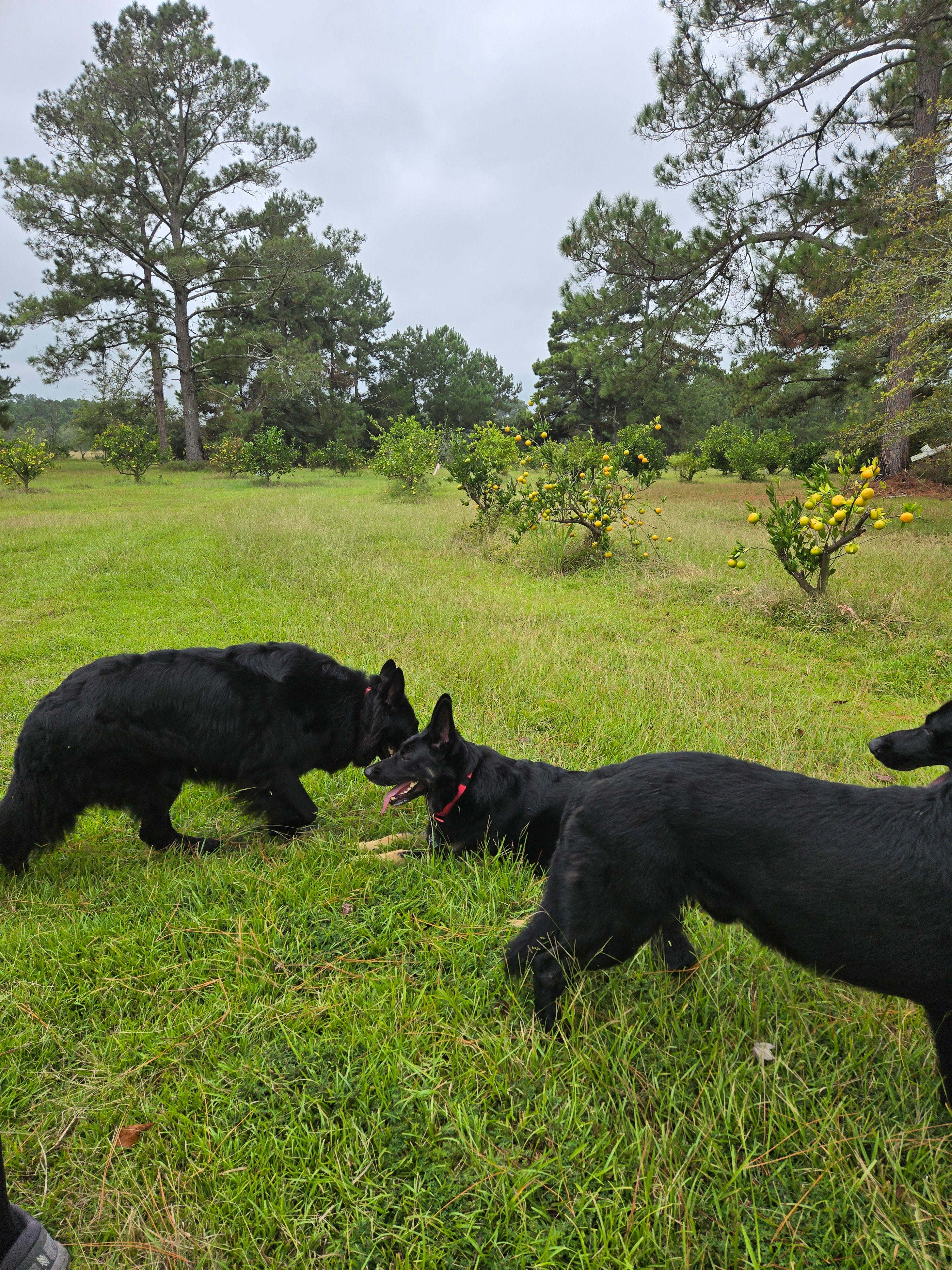 The Fruit Factory RV Site