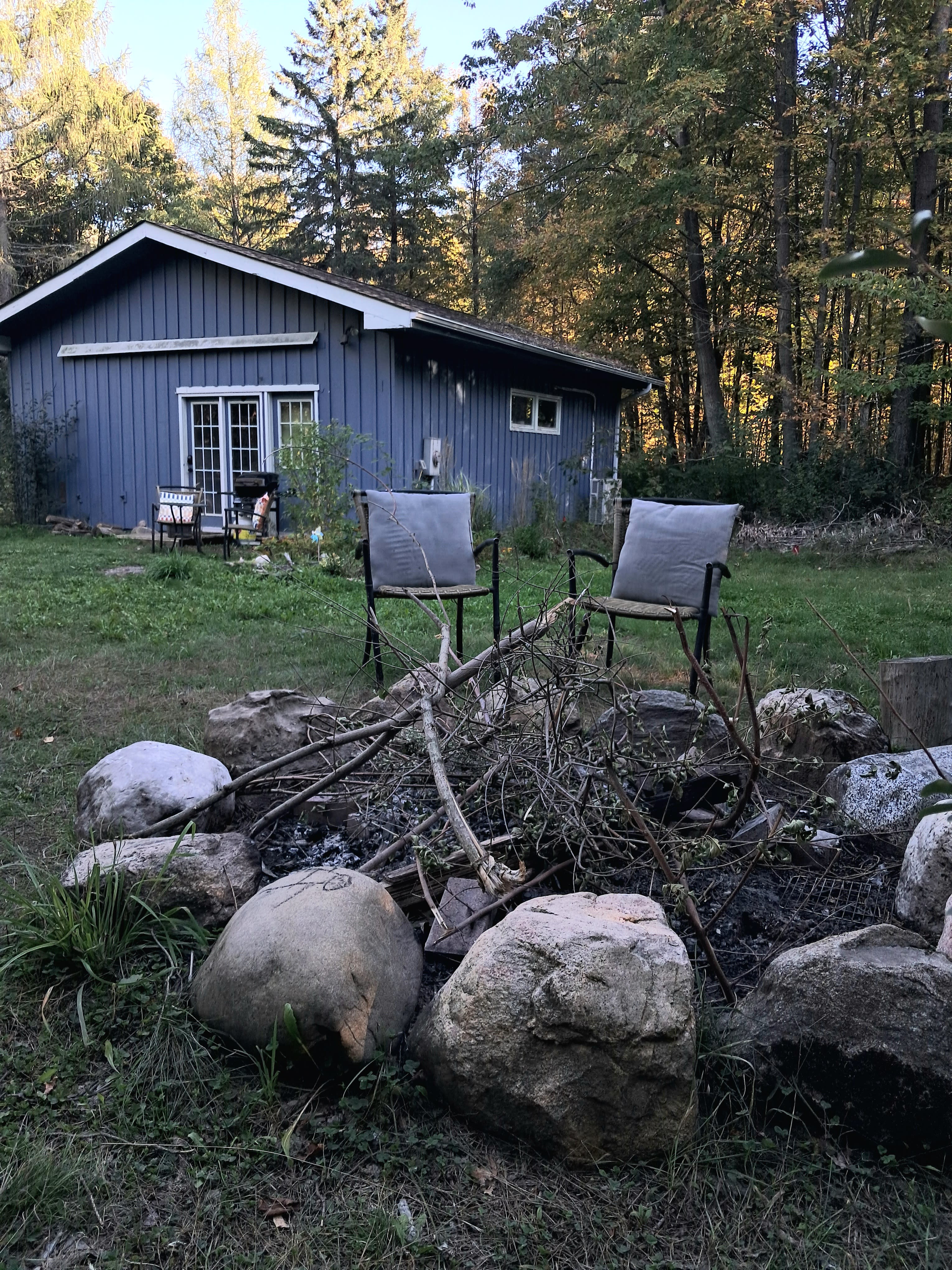 Higgins Farm in the Forest