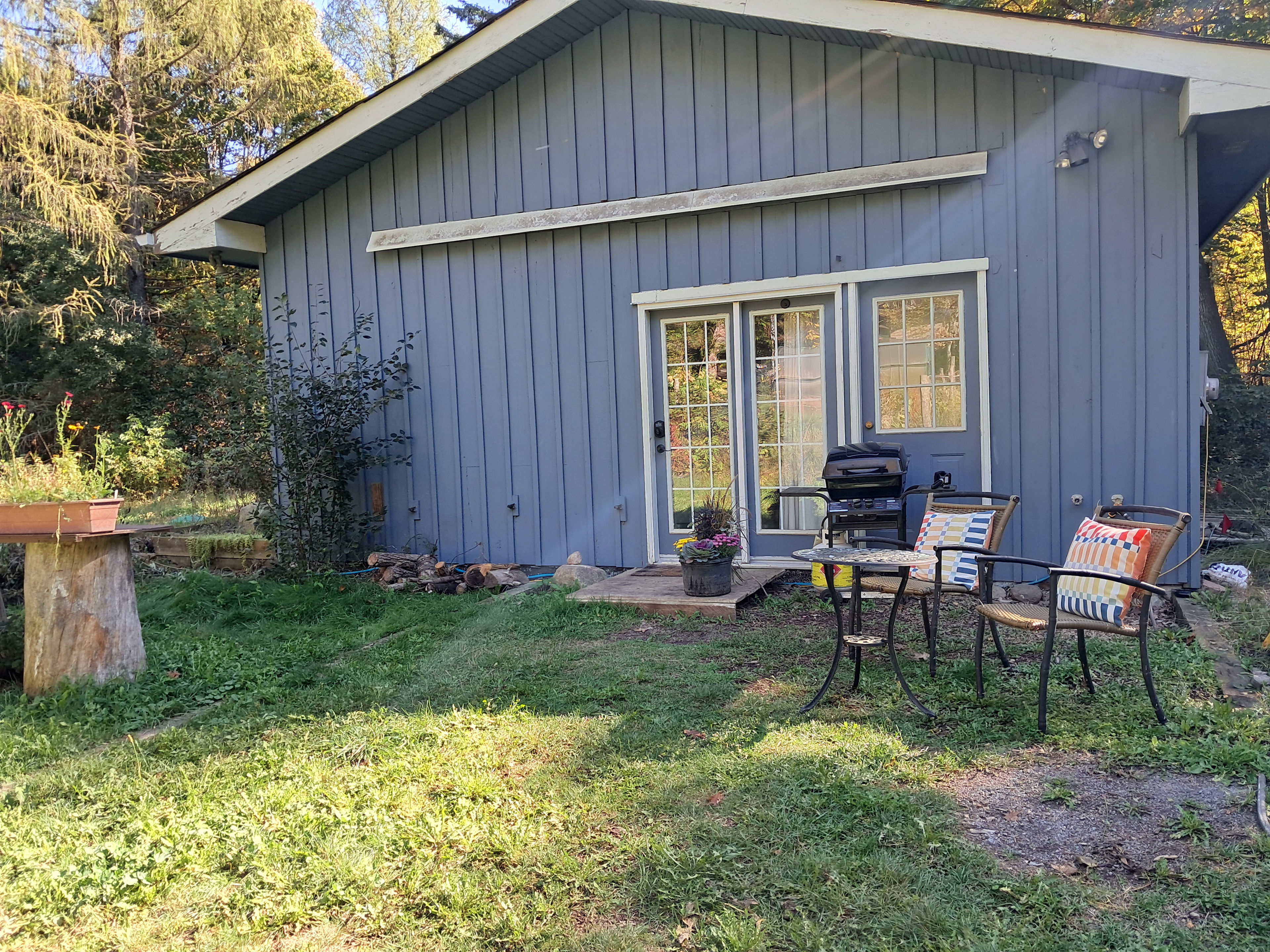 Higgins Farm in the Forest