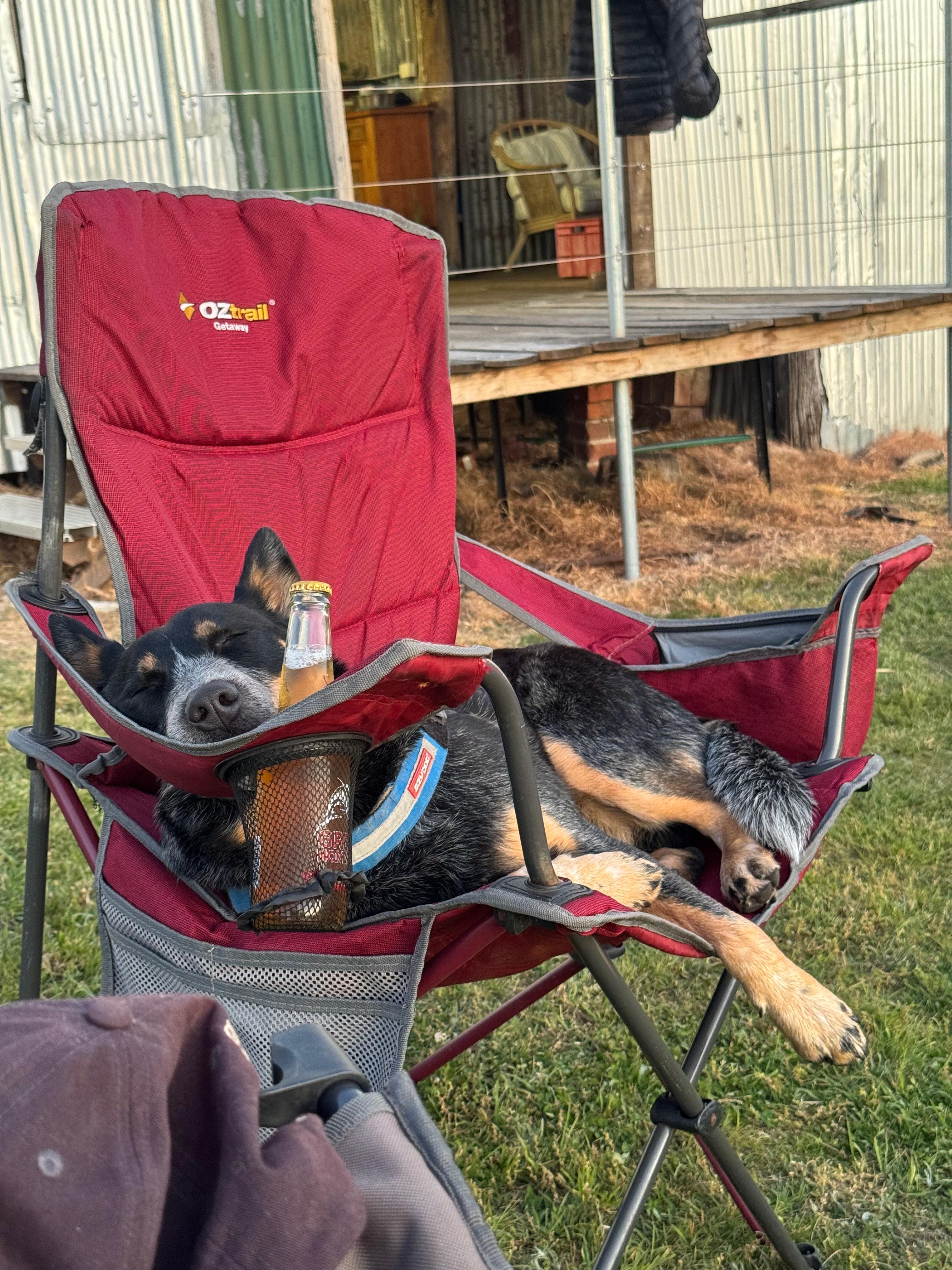 Eden Vale Shearing Shed Camp