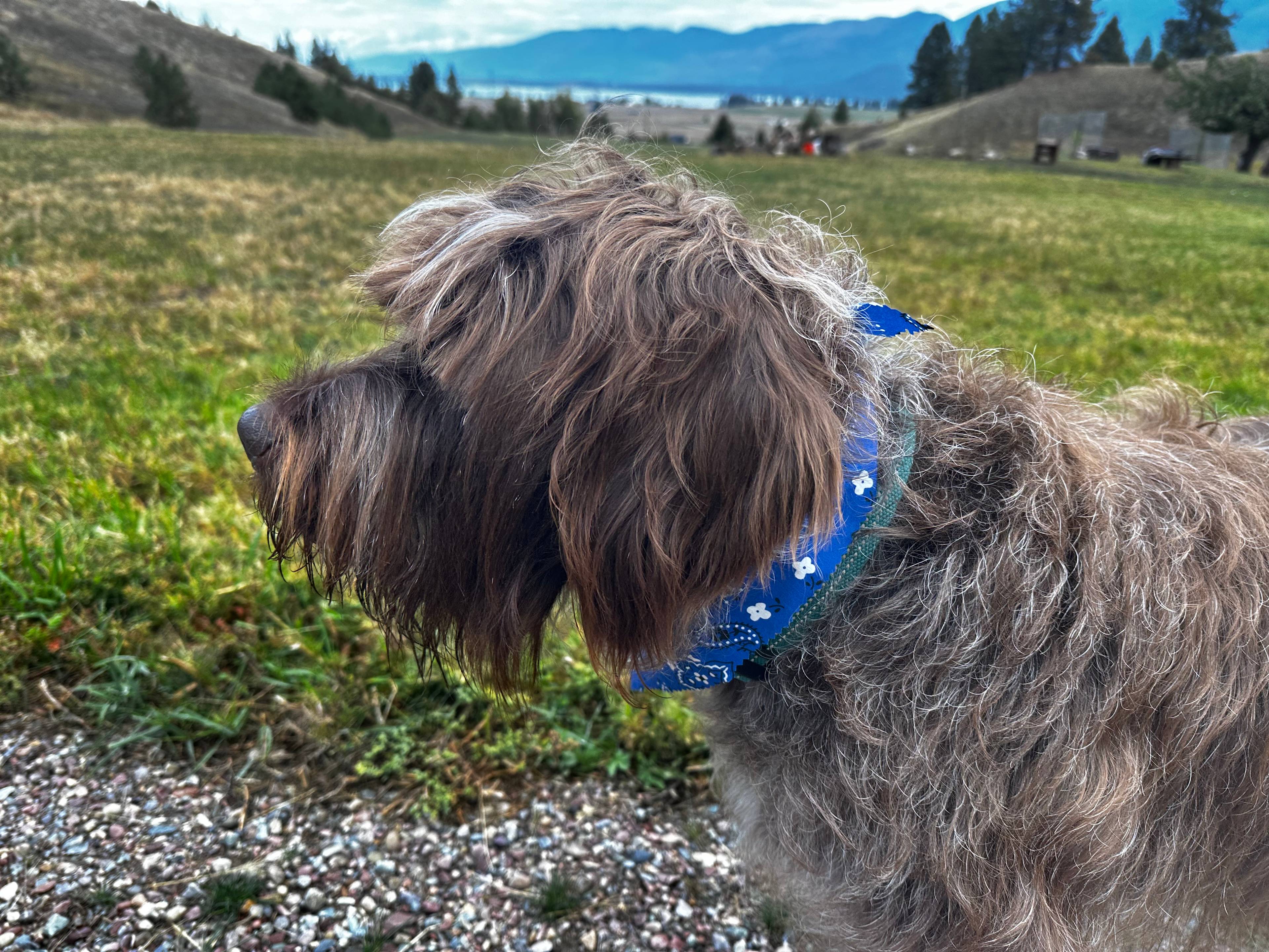 Patty! Super friendly greeter 