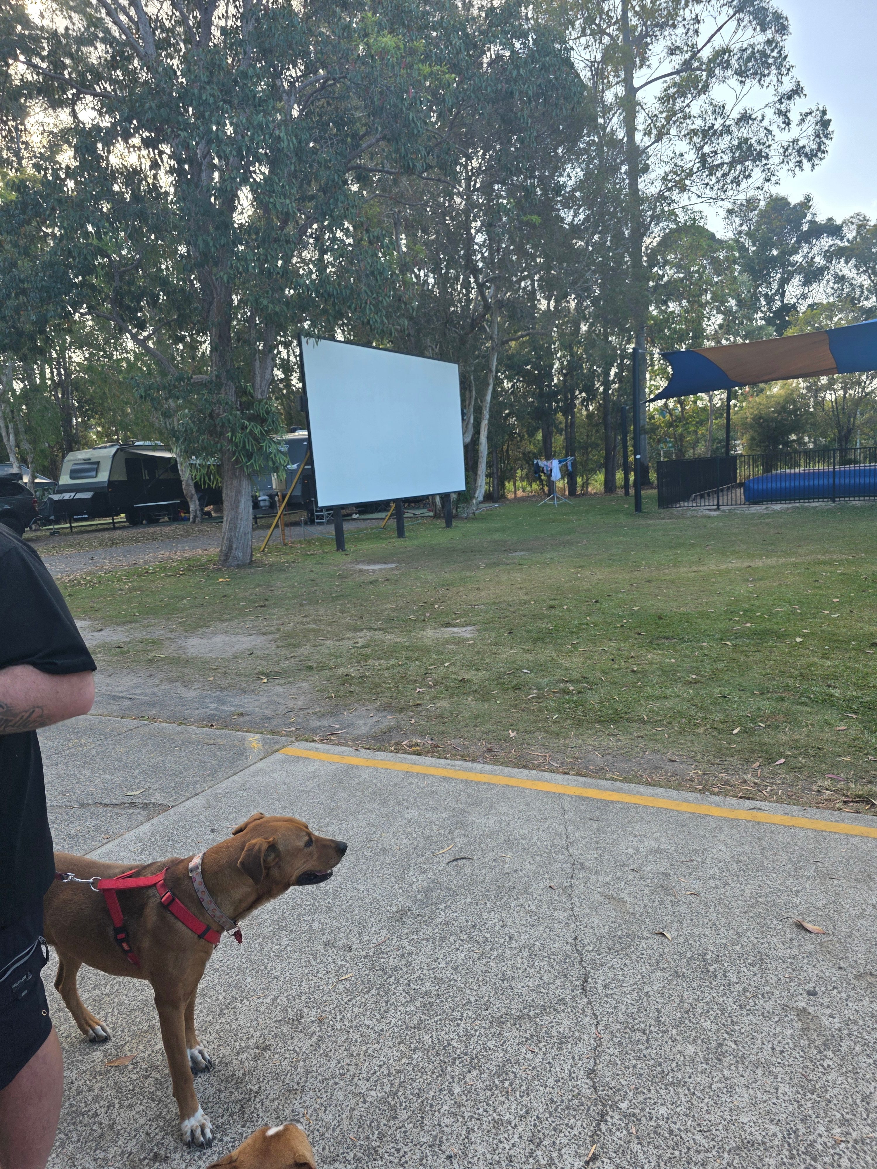 Ingenia Holidays Noosa