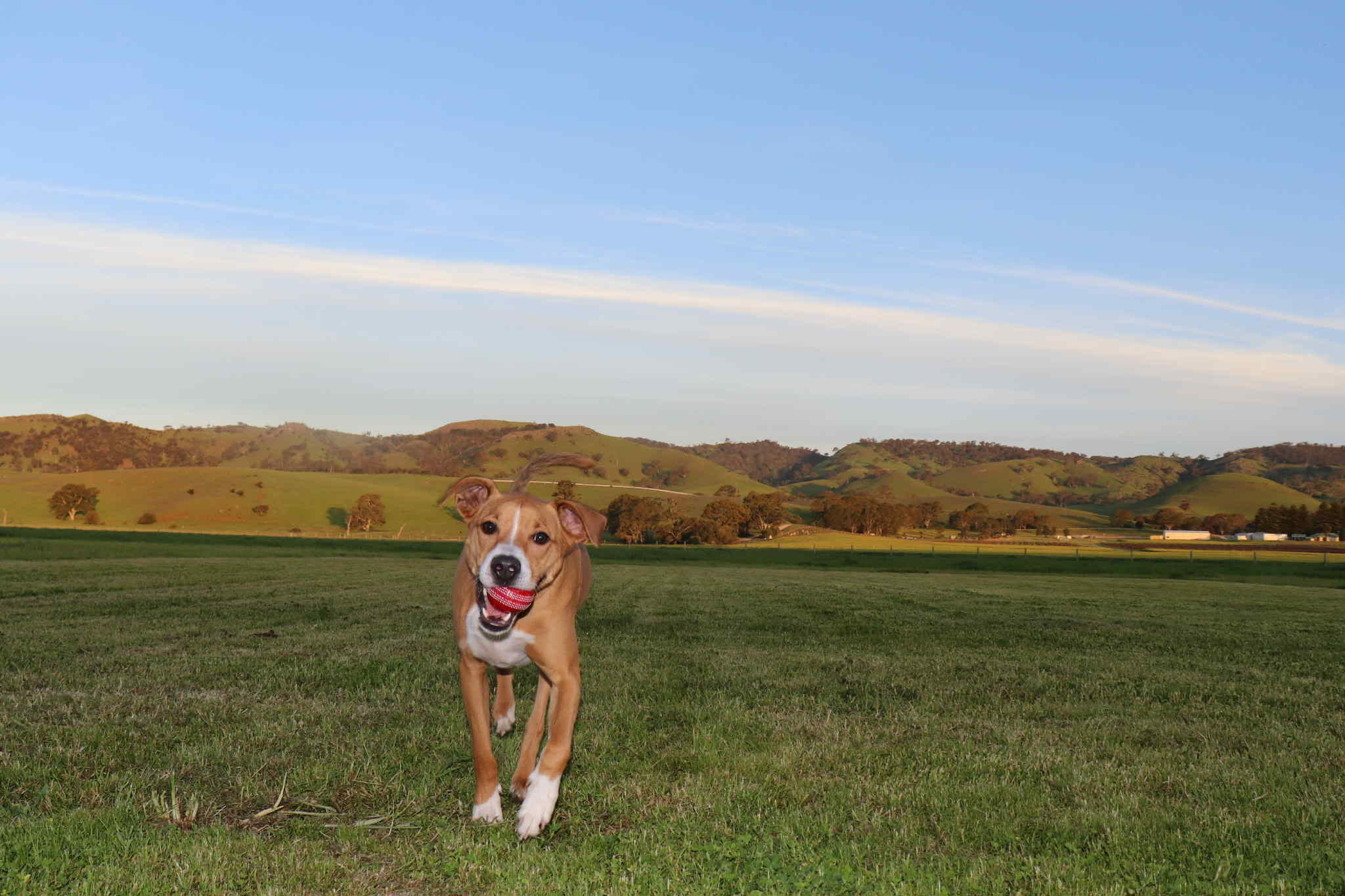 Huge space! Amazing views!